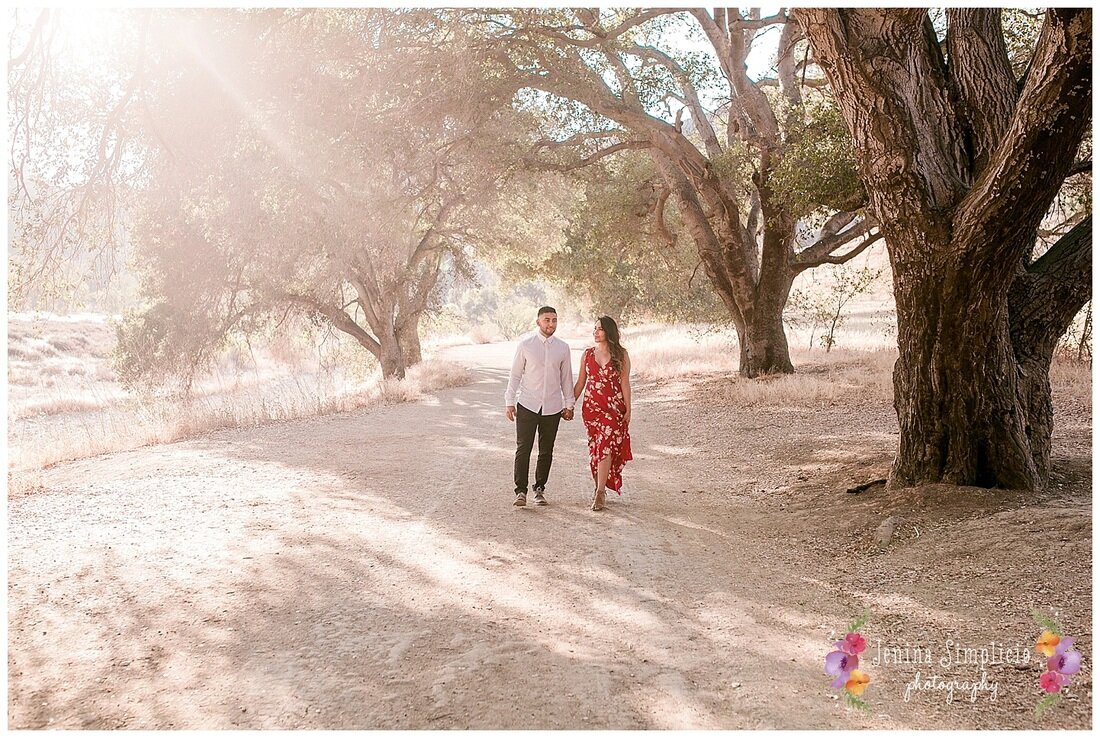  newly engaged couple holding hands with the sunlight streaming through the trees 