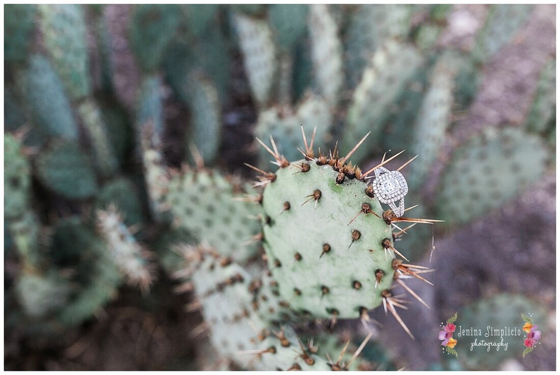  engagement ring on a cactus 