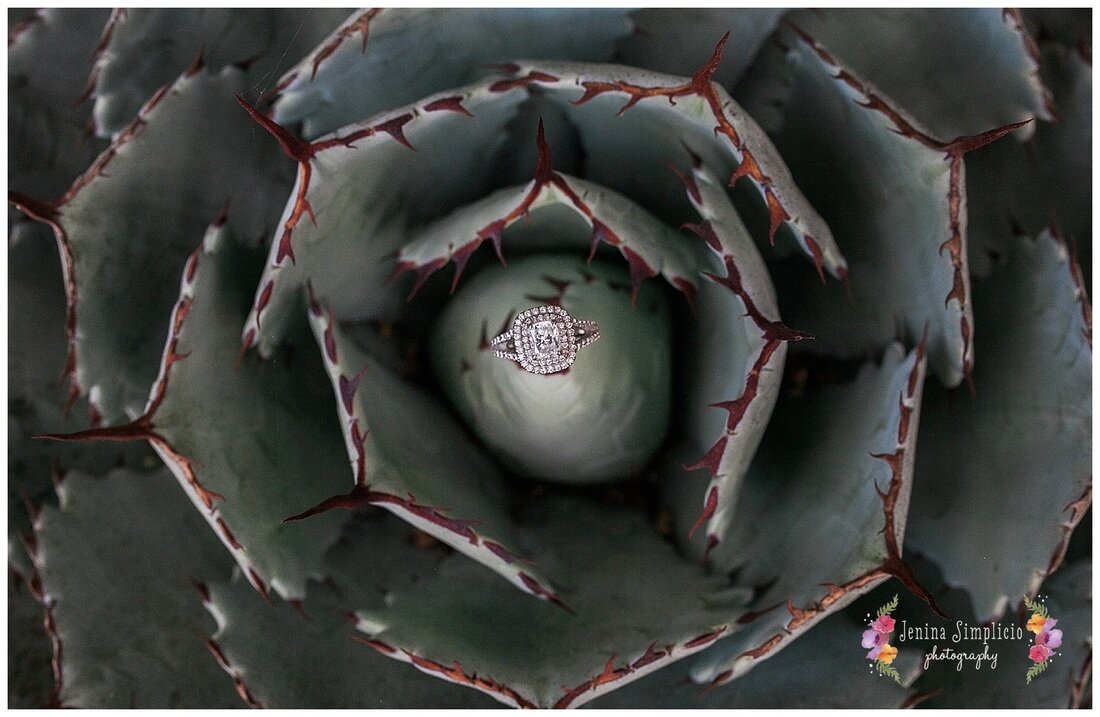  engagement ring in the center of a cactus like flower 