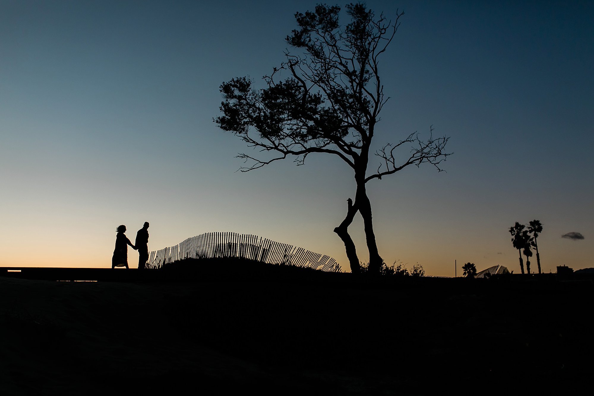  sunset with tree ad couple silhouette 