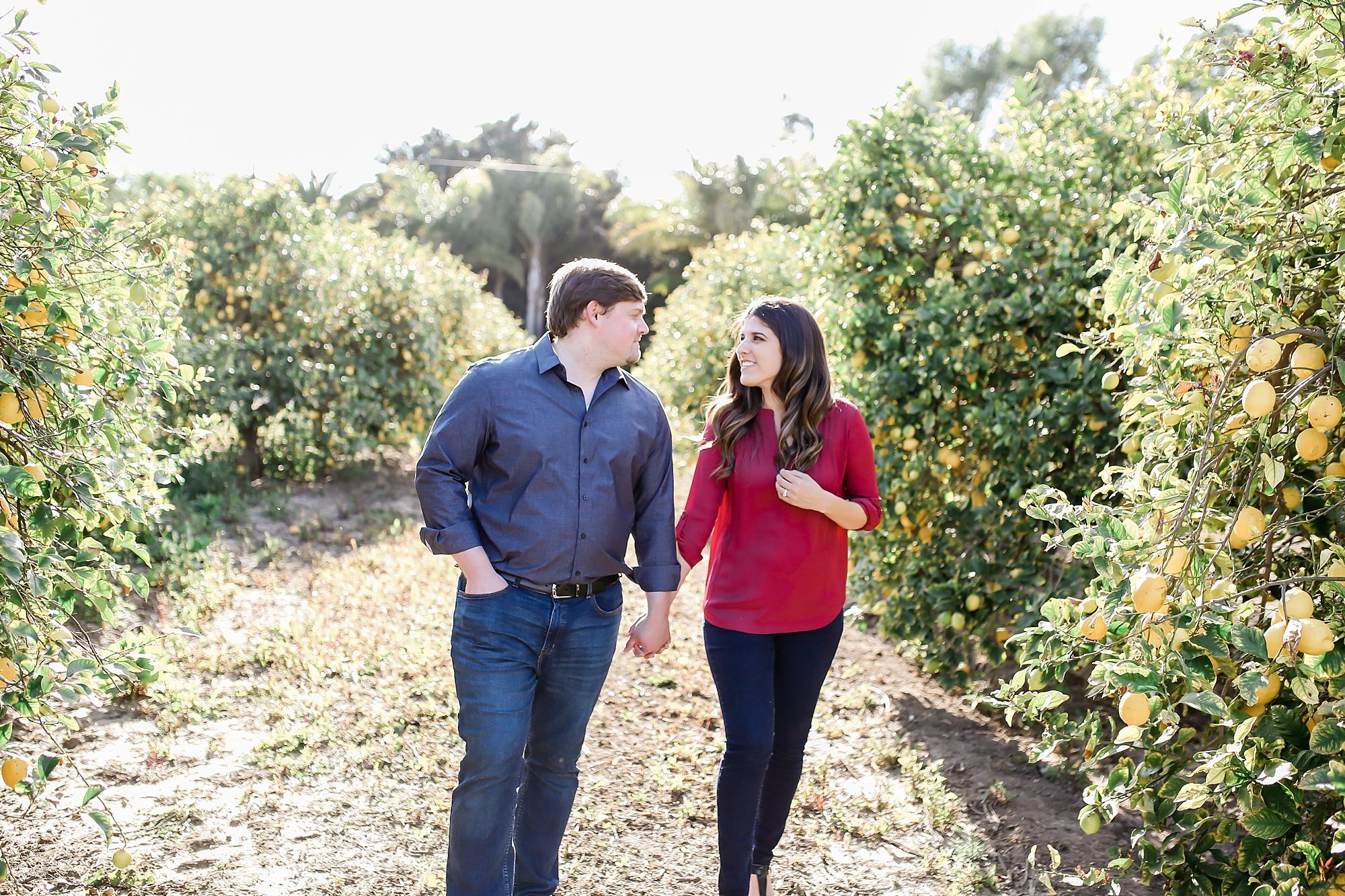  newly engaged couple walking in the orchard 