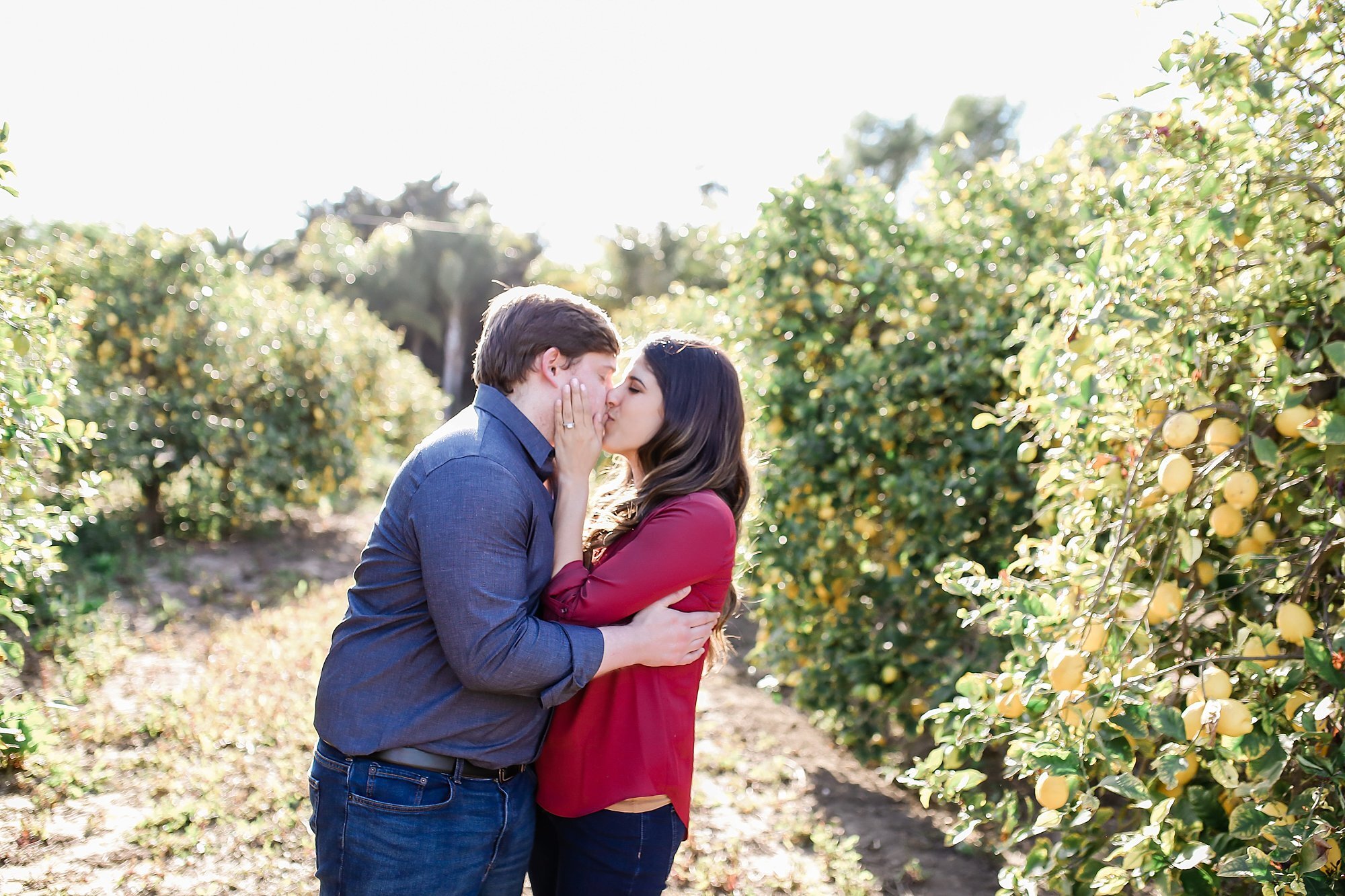  newly engaged couple kissing in the orchard 
