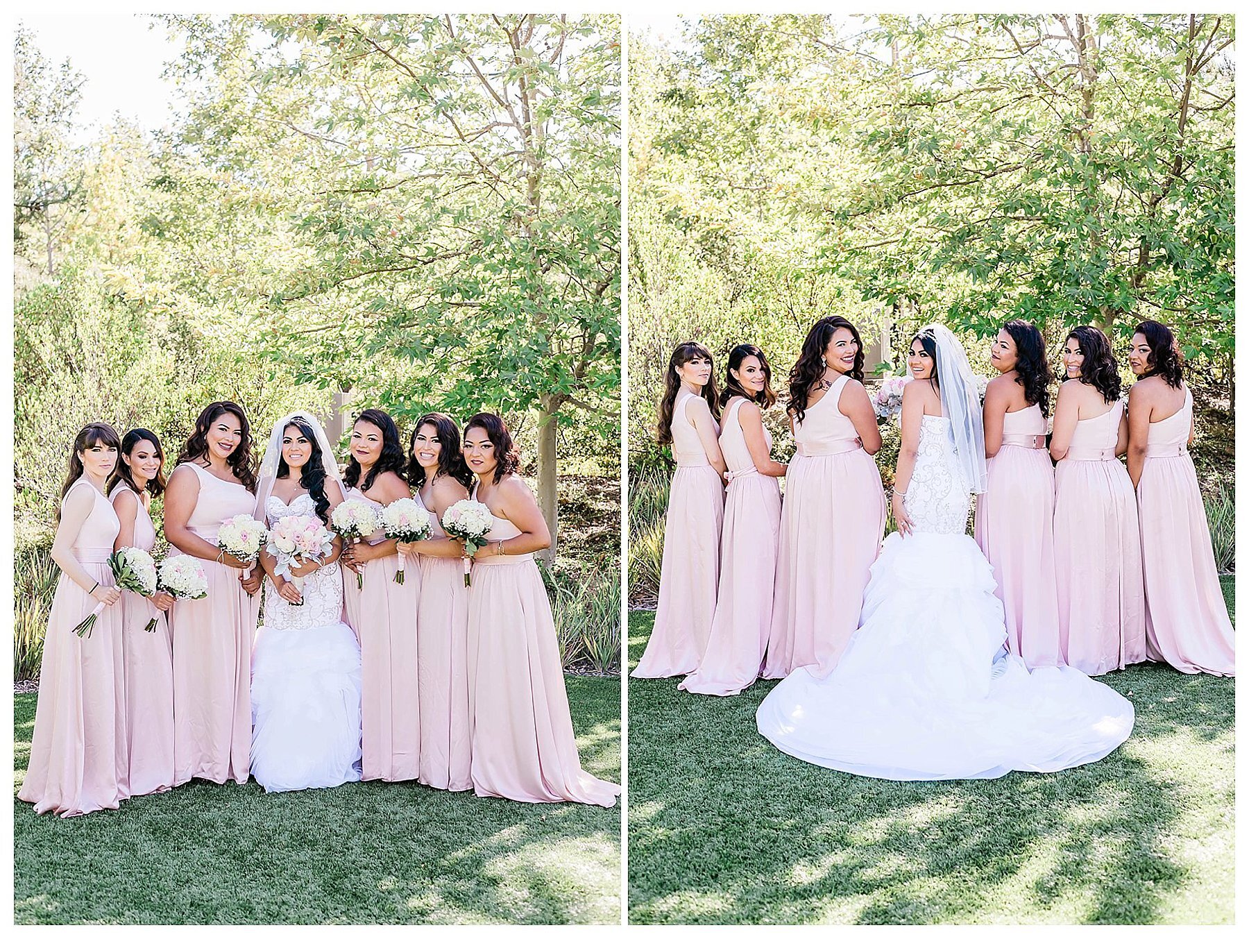  bridal party in front of the trees 