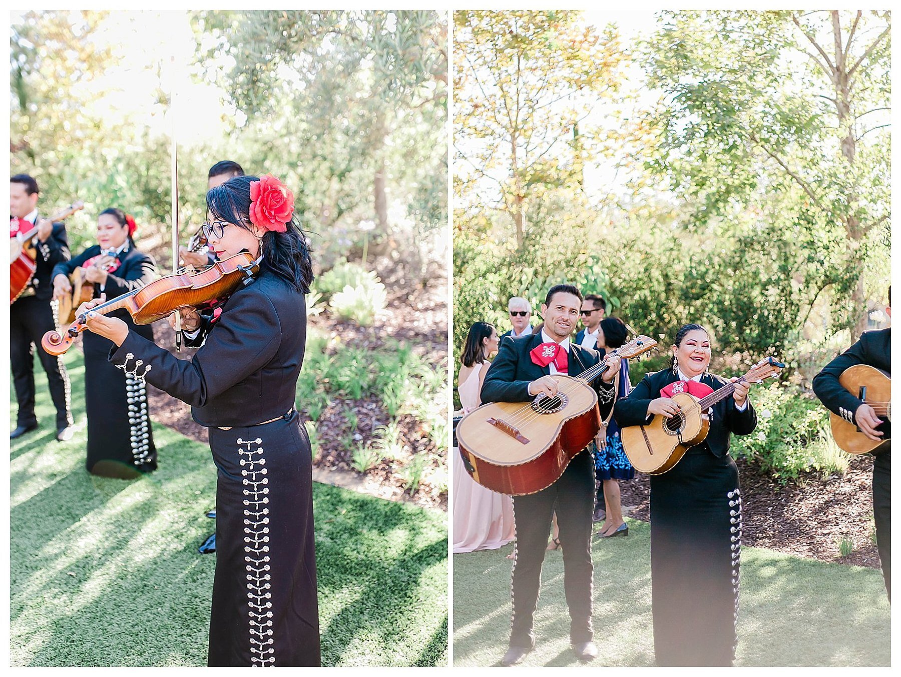  mariachi band playing instruments on the garden  