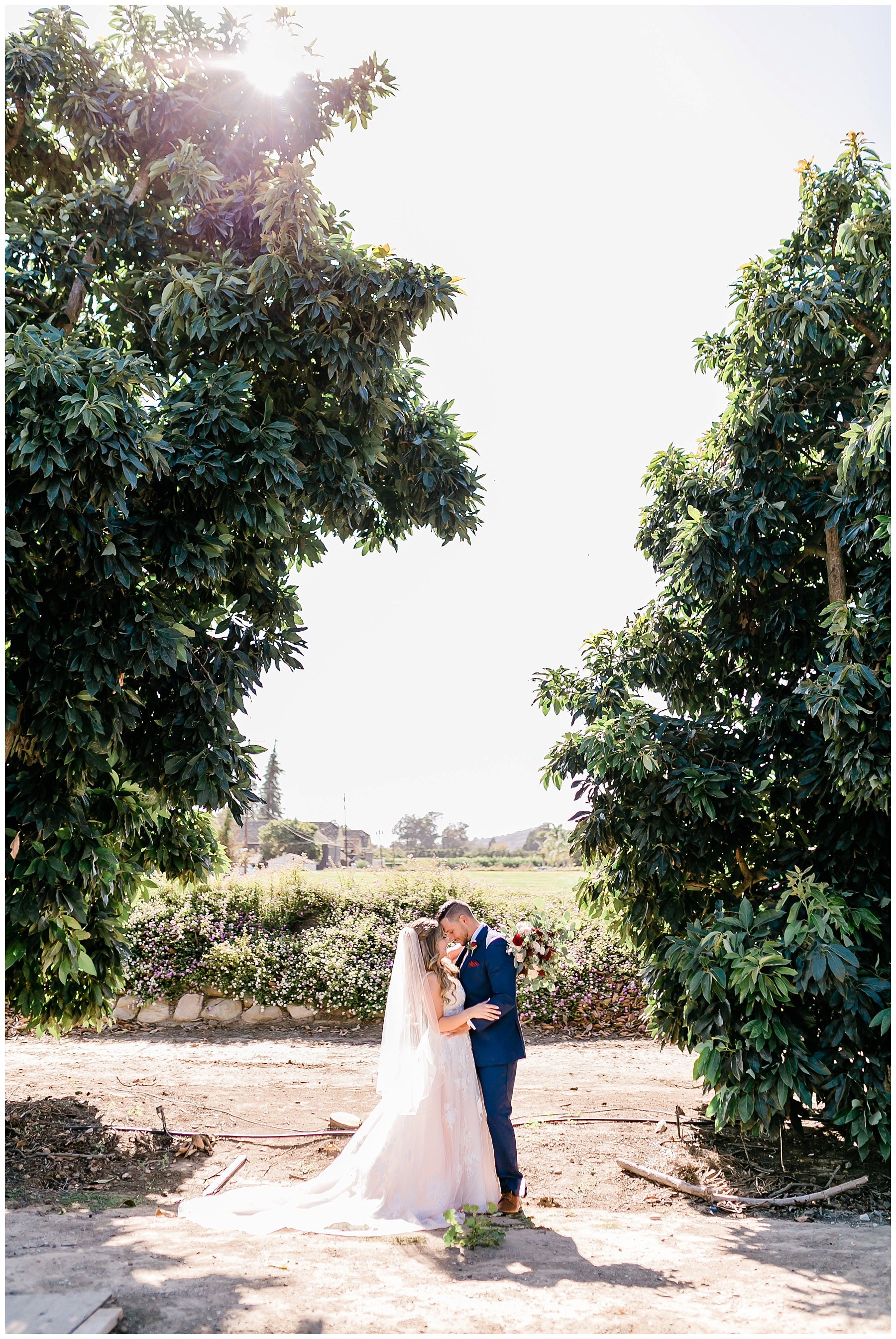  bride and groom framed by trees 