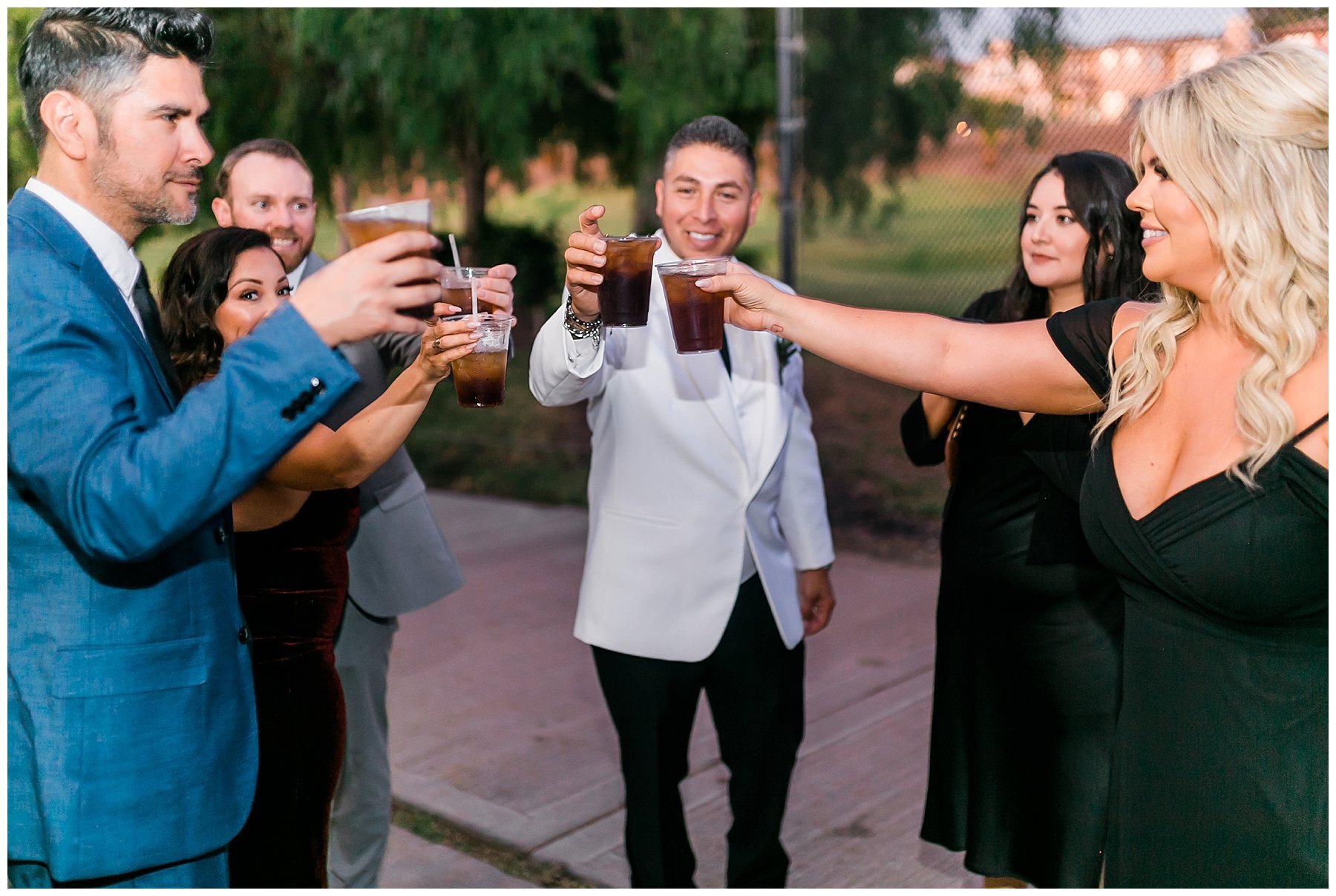  wedding party toasts 