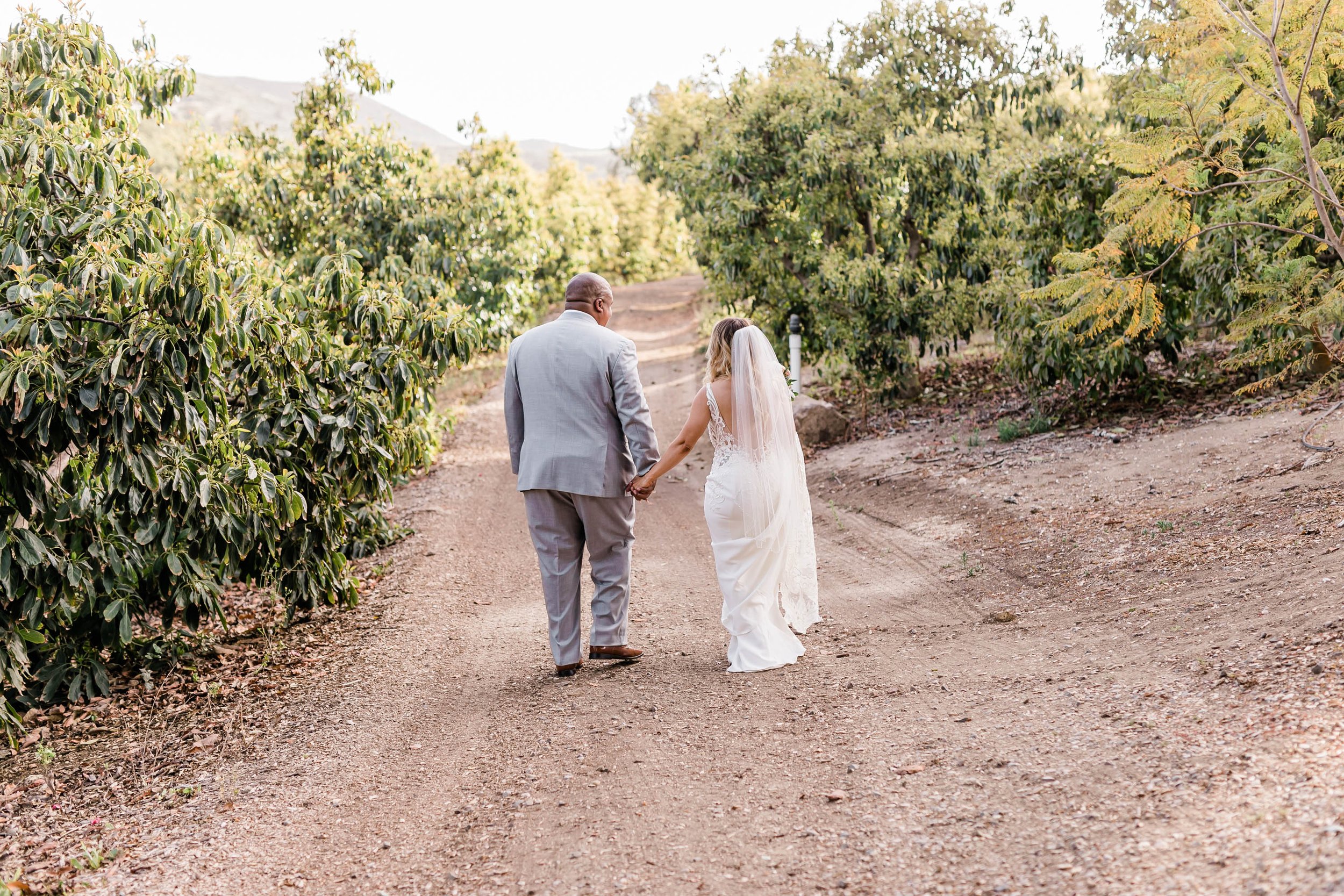 Bride and groom portraits in avocado orchard at Spanish style ranch house at Quail Ranch events weddin