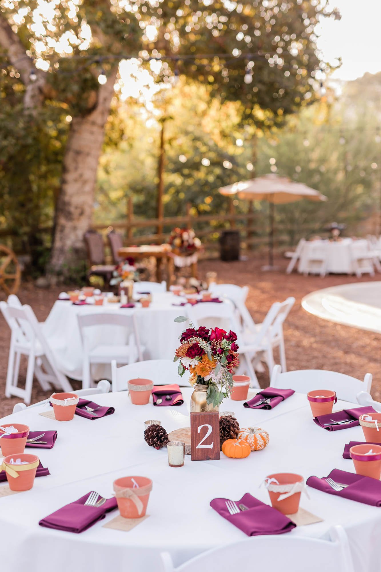 fall ranch wedding with pumpkins reception at reptacular ranch 