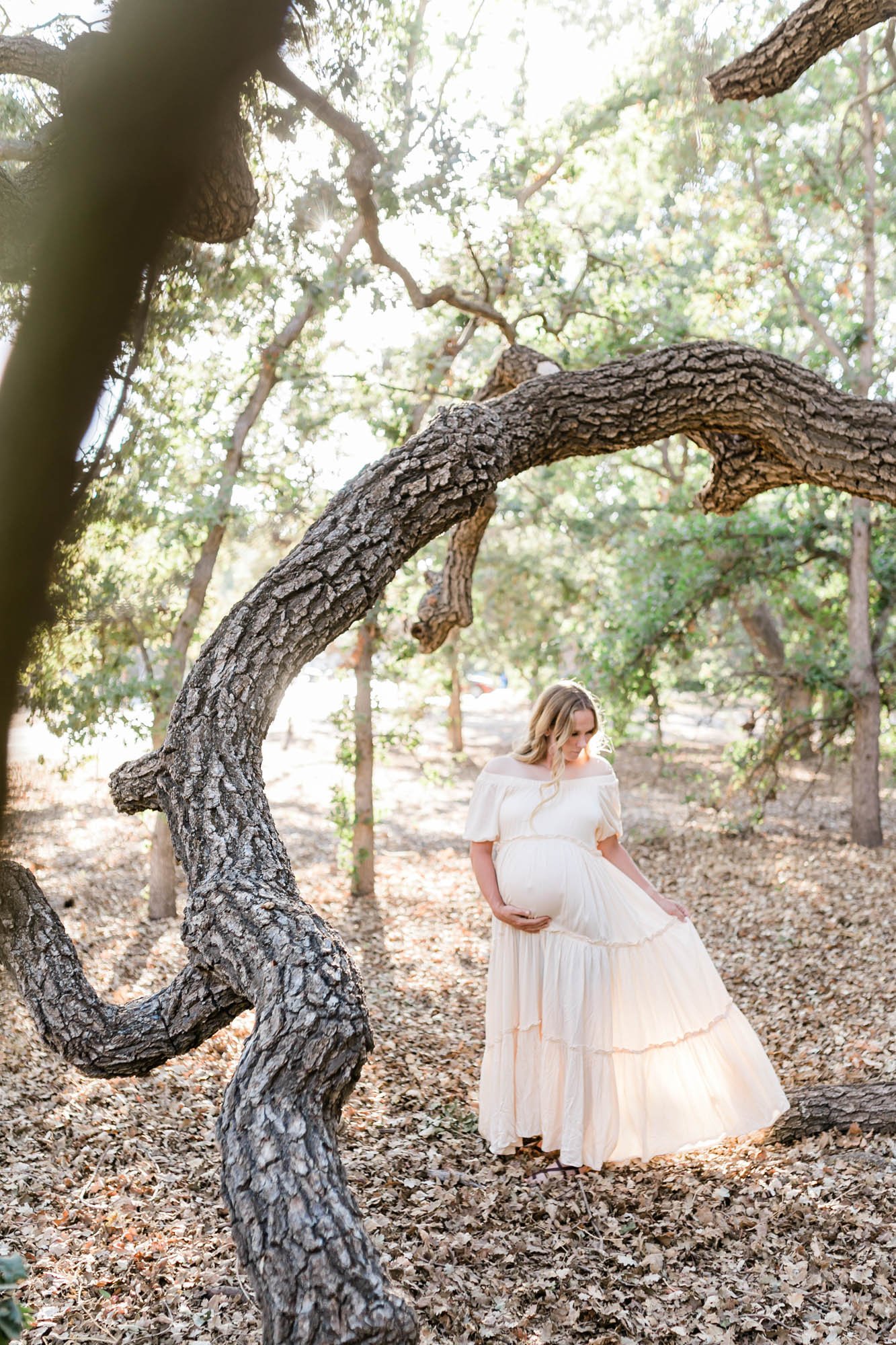 Old Meadows Park Maternity session under oak trees with Ventura County photographer