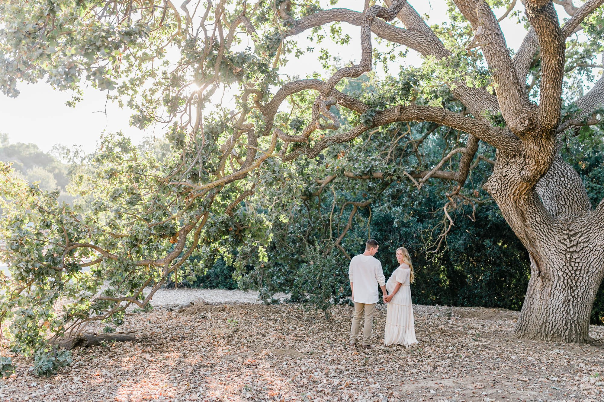 Old Meadows Park Maternity session under oak trees with Ventura County photographer