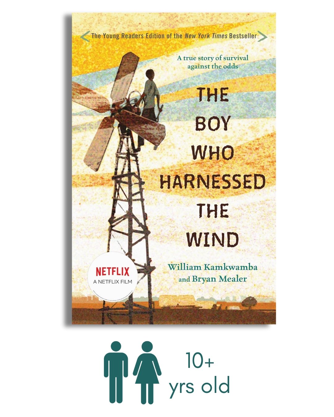 The Boy Who Harnessed the Wind, Young Reader's Edition