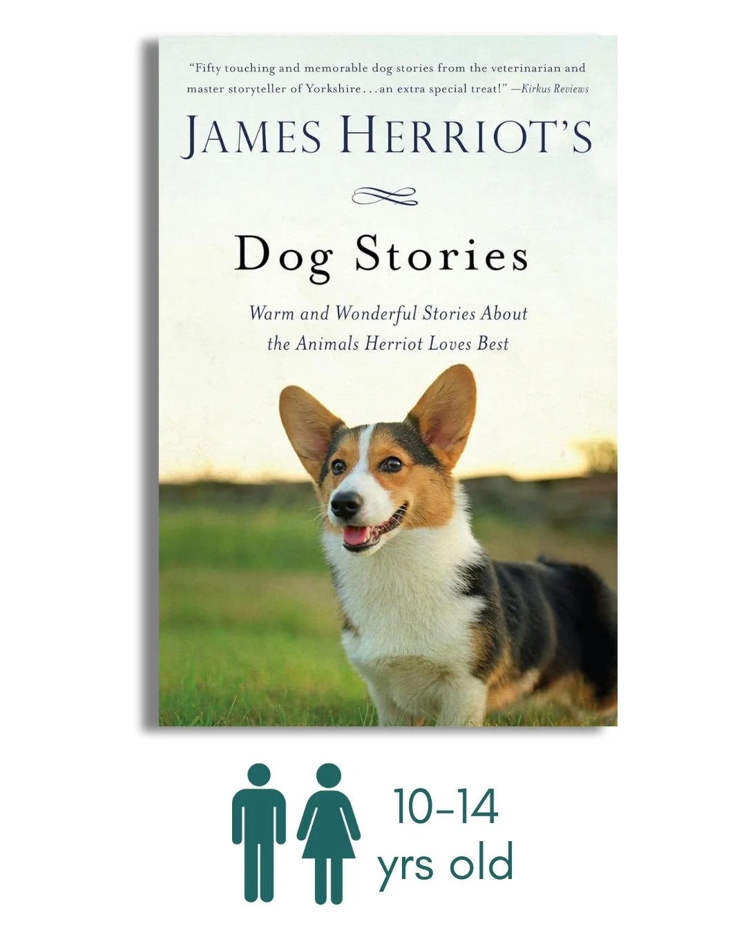 James Herriot's Dog Stories