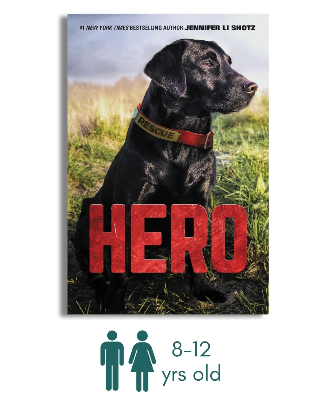 Hero: A Rescue Dog Adventure About Danger and Unbreakable Bonds for Kids