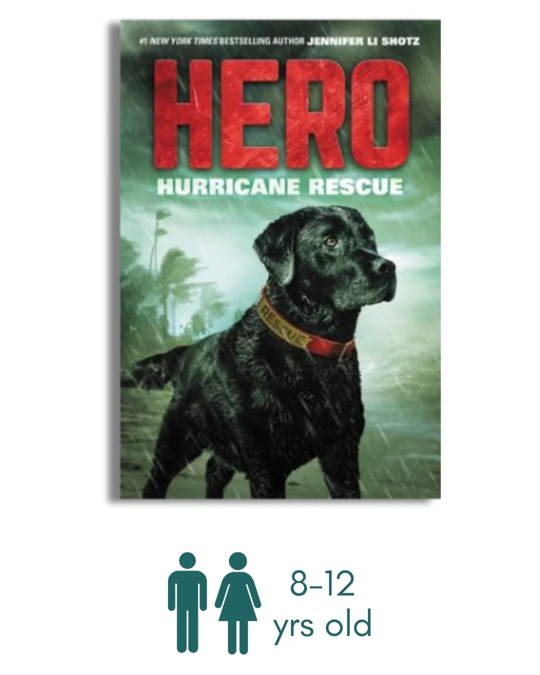 Hero: Hurricane Rescue
