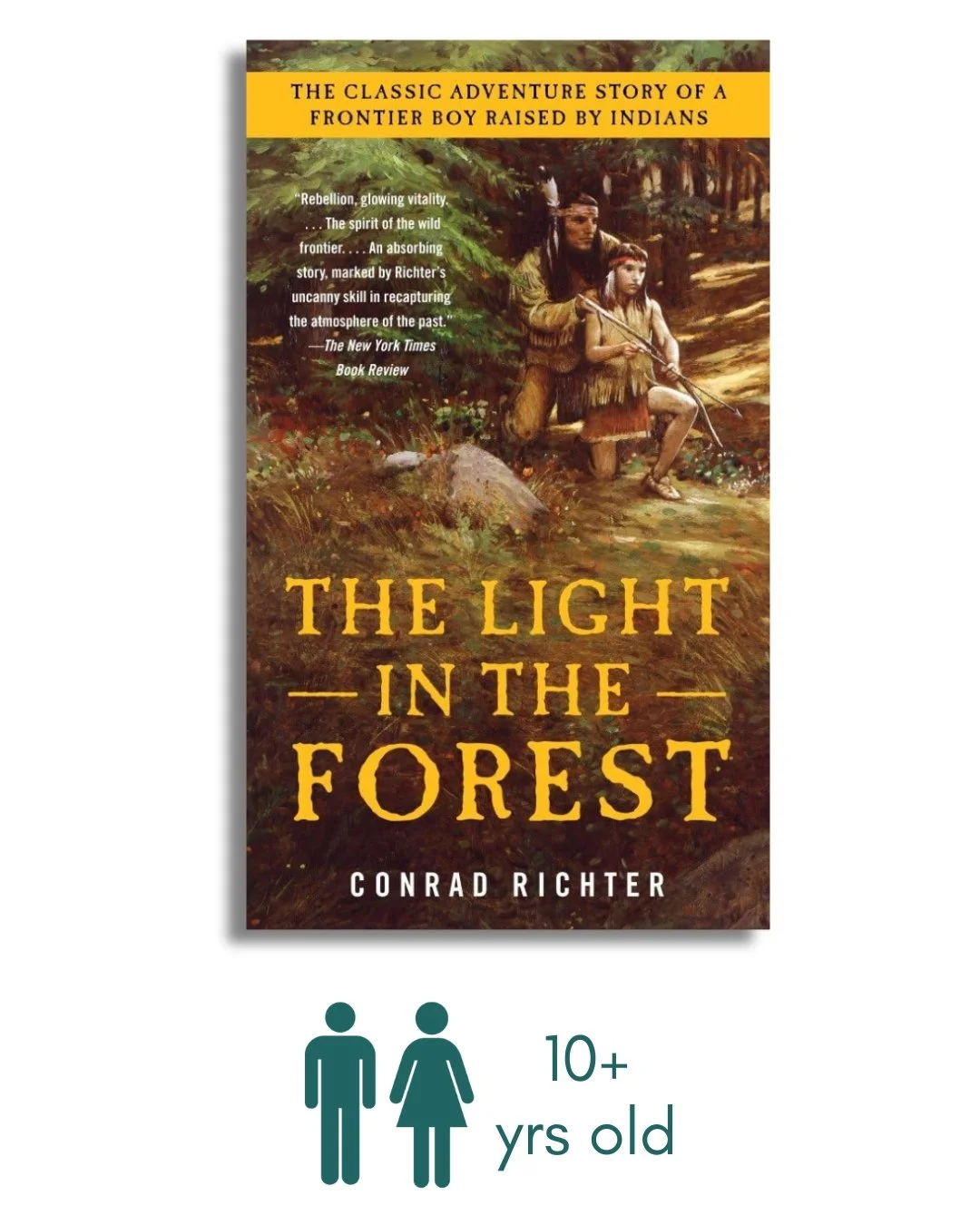 The Light in the Forest