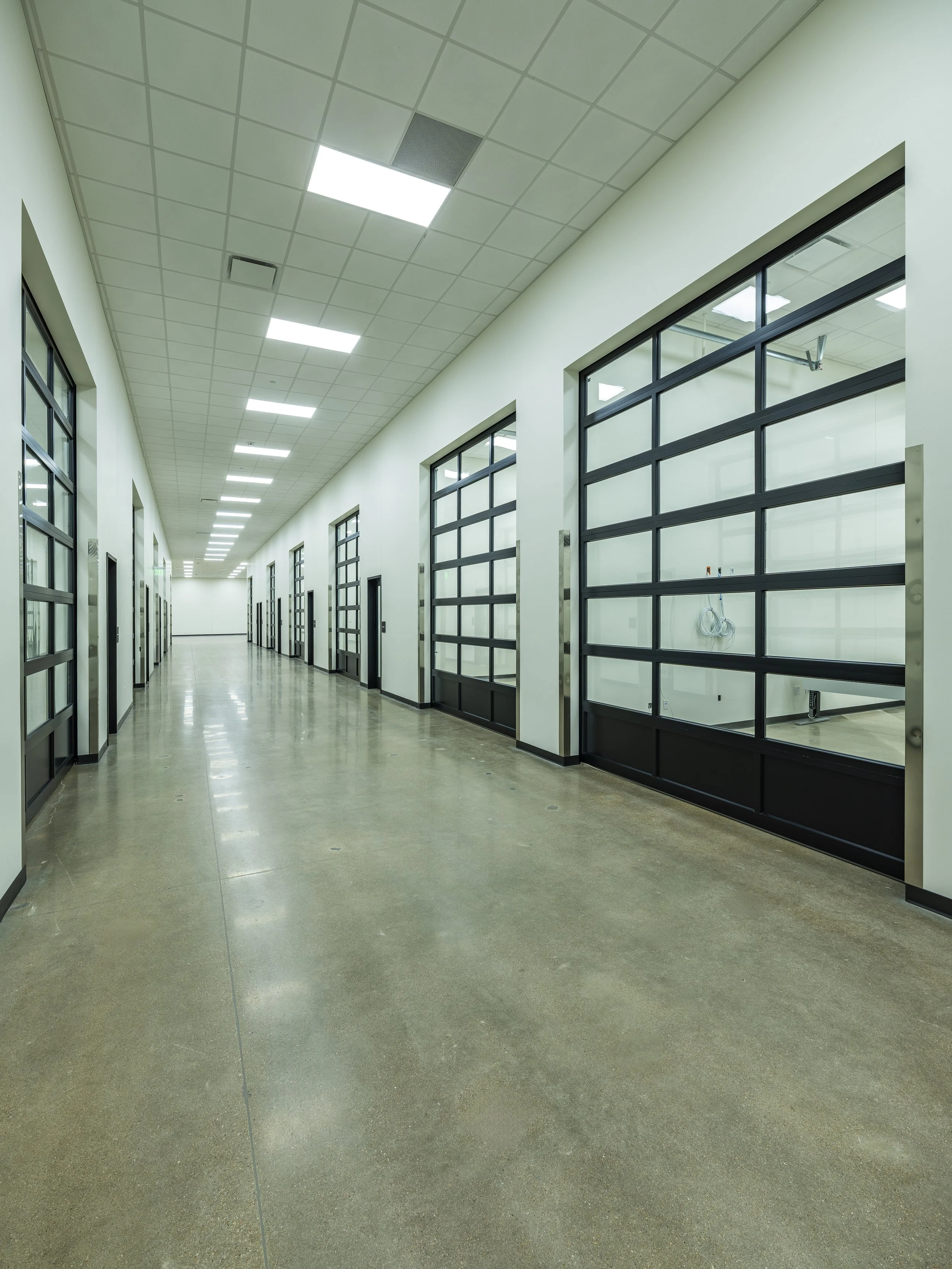 01 - Labs.jpg
