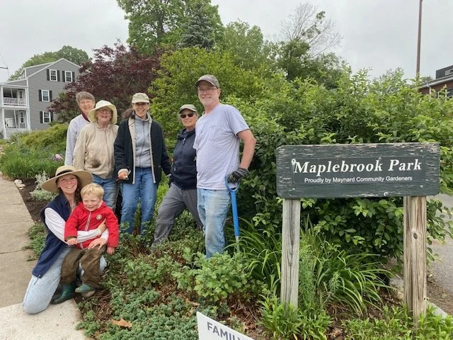 Maplebrook Park Clean Up