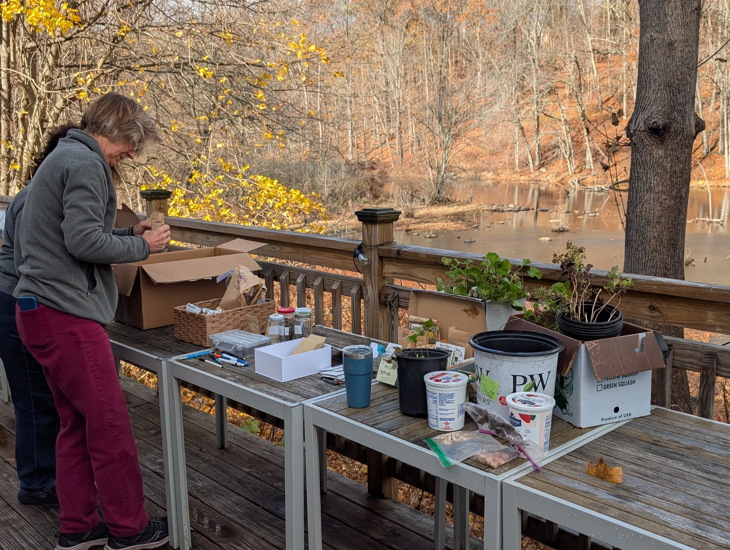 website seed swap.jpg