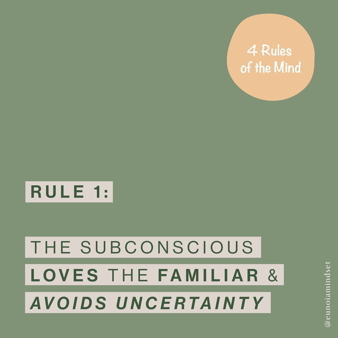 RULE 1: 
UNFAMILIAR IS UNFAVOURABLE

Your subconscious mind is driven to avoid RISK at all cost. 
AT ALL COST.

👉 What it doesn&rsquo;t know, presents as risk.
👉 What does not seem familiar, presents as risk.
👉 What may in some way seem like somet