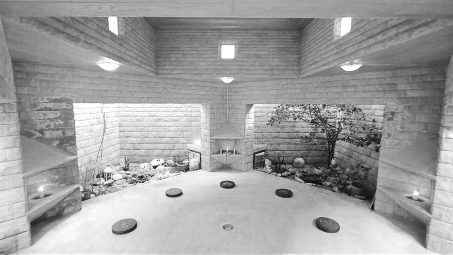 Indoor space with brick walls, small garden areas, spotlights, and several weights on the floor.
