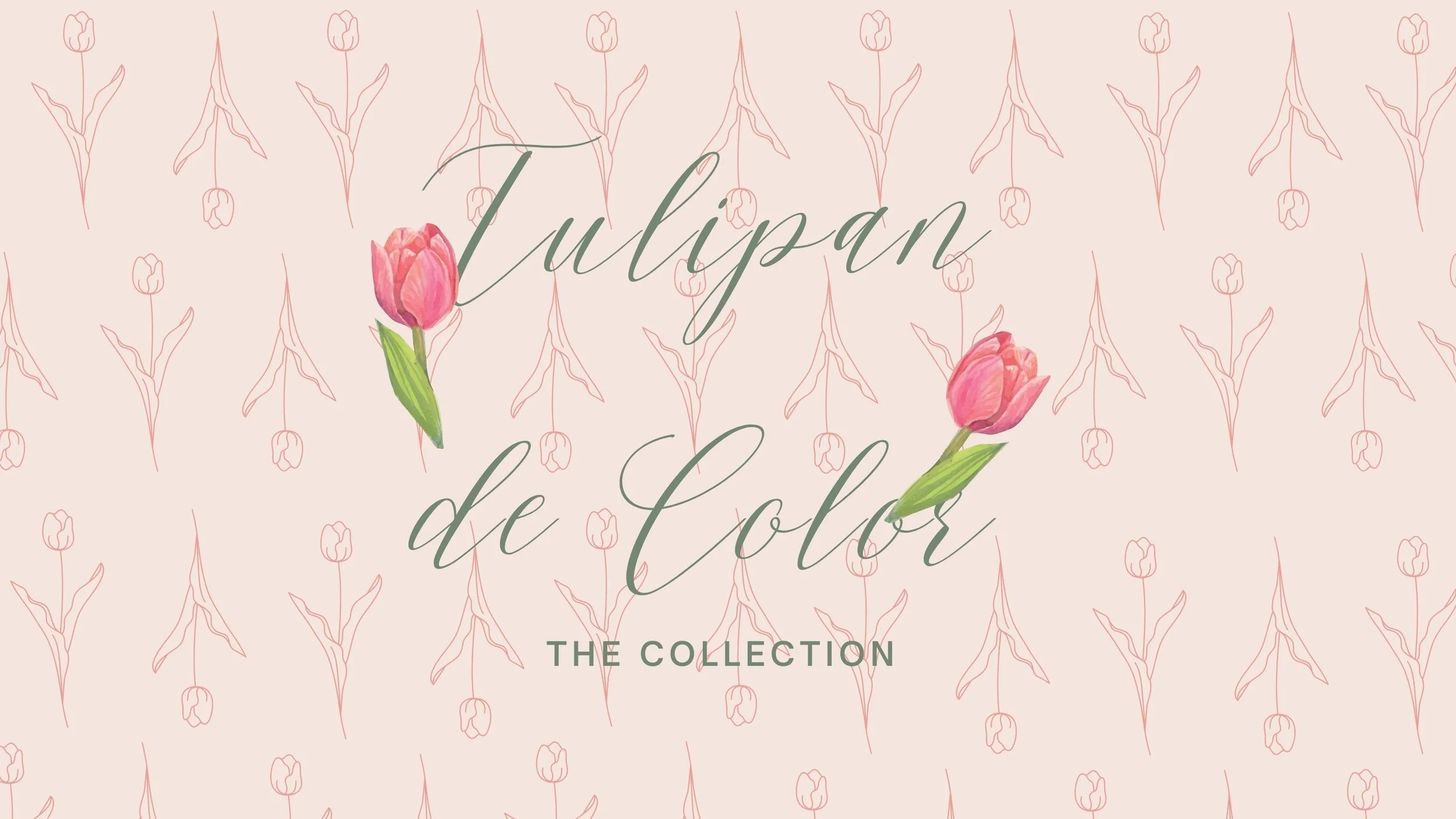 “Tulipan De Color” Collection Lookbook