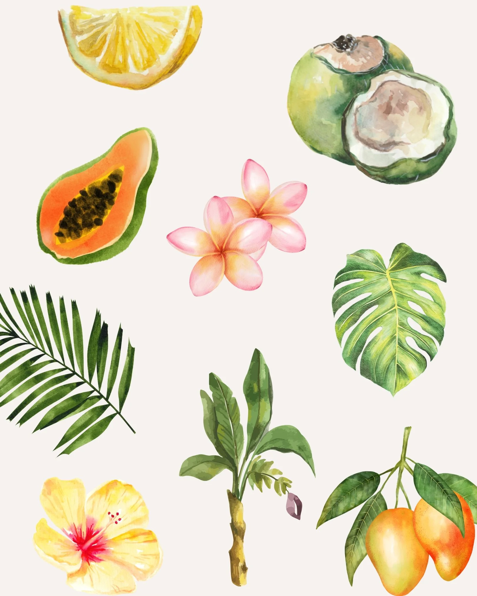 Untitled design.jpg