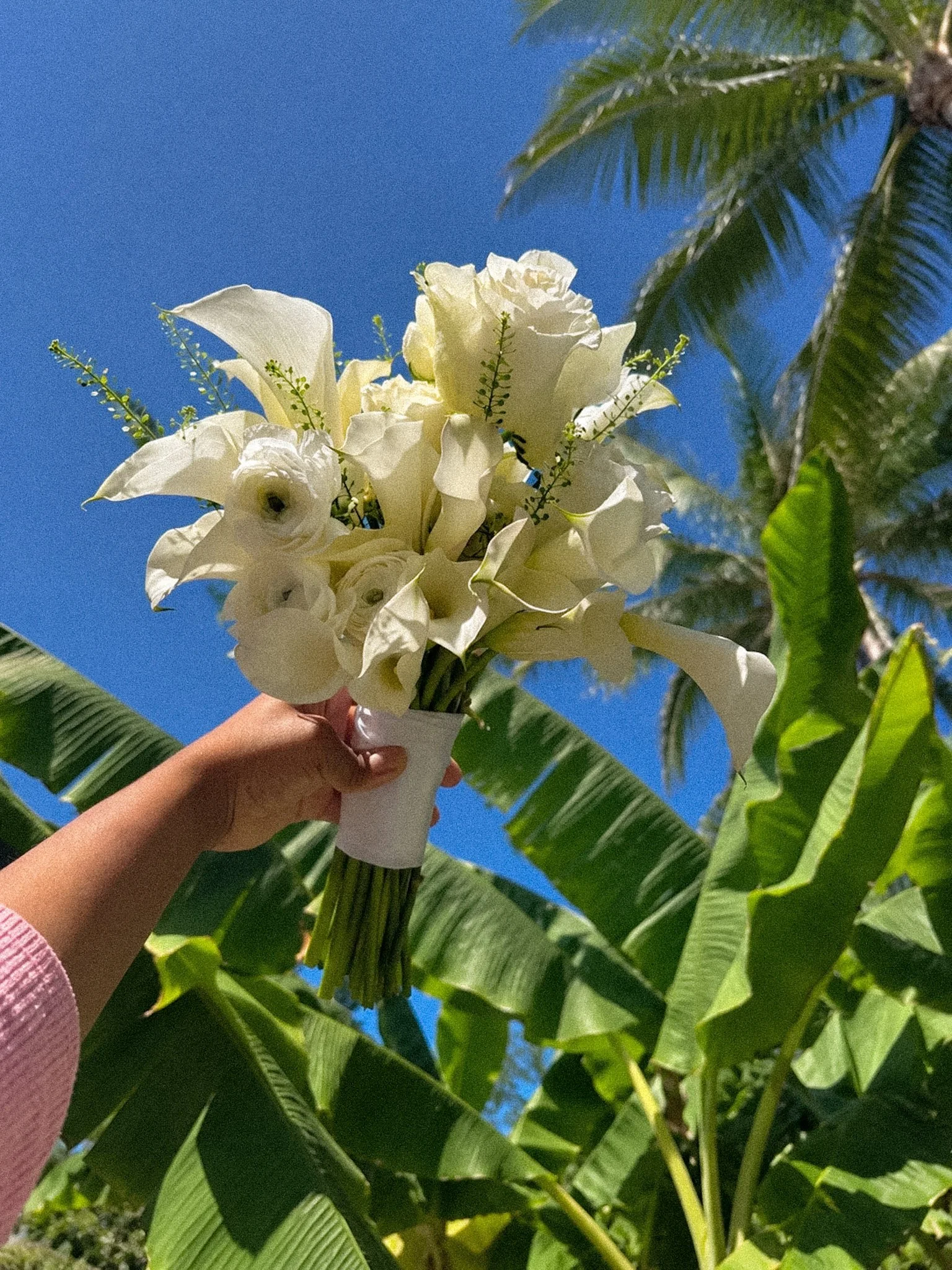 A person holding a bouquet of white flowers in front of green foliage and a clear blue sky.