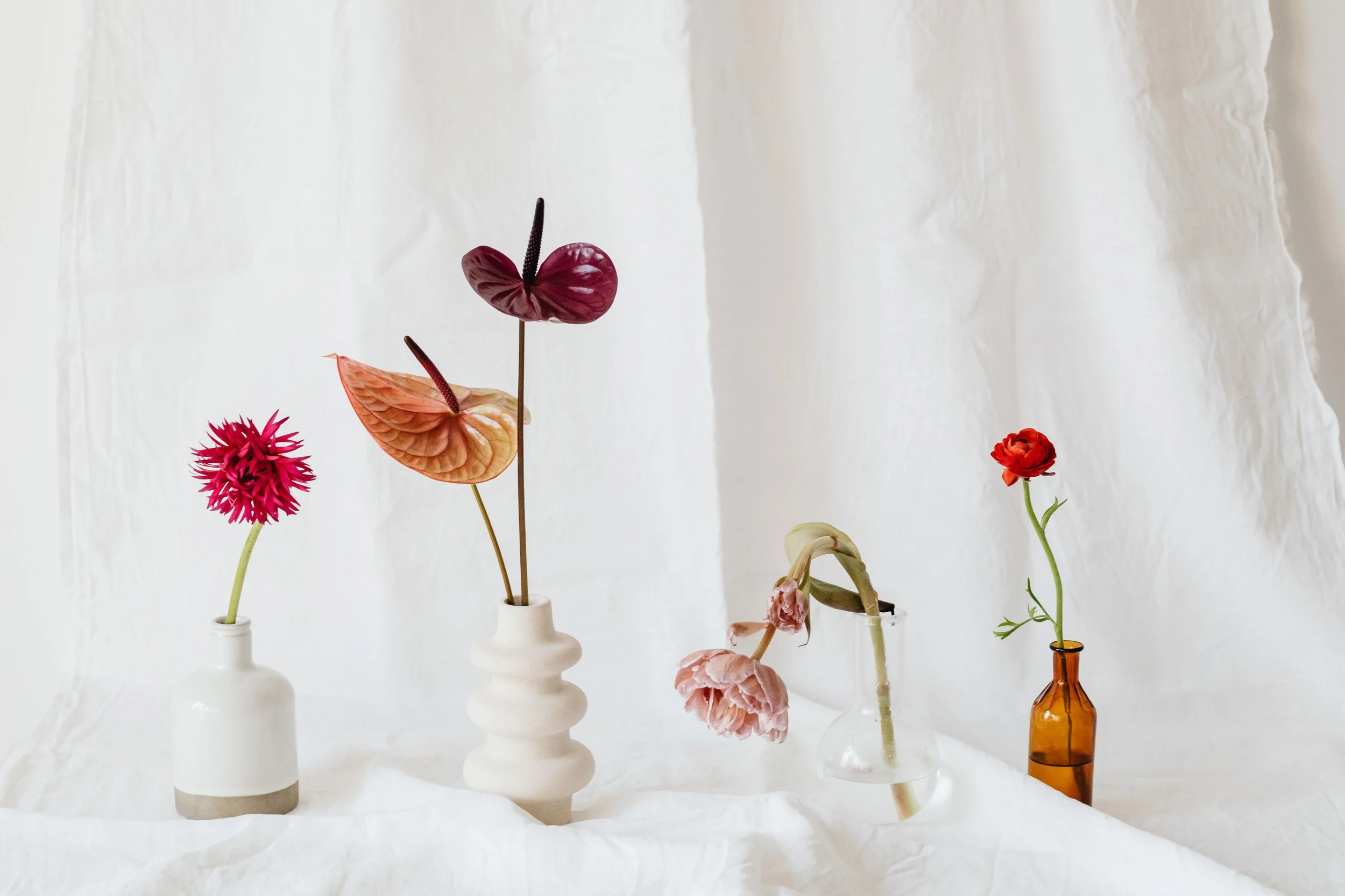 Various flowers in ceramic and glass vases, including pink, red, and pale-colored blooms, arranged against a white fabric background.