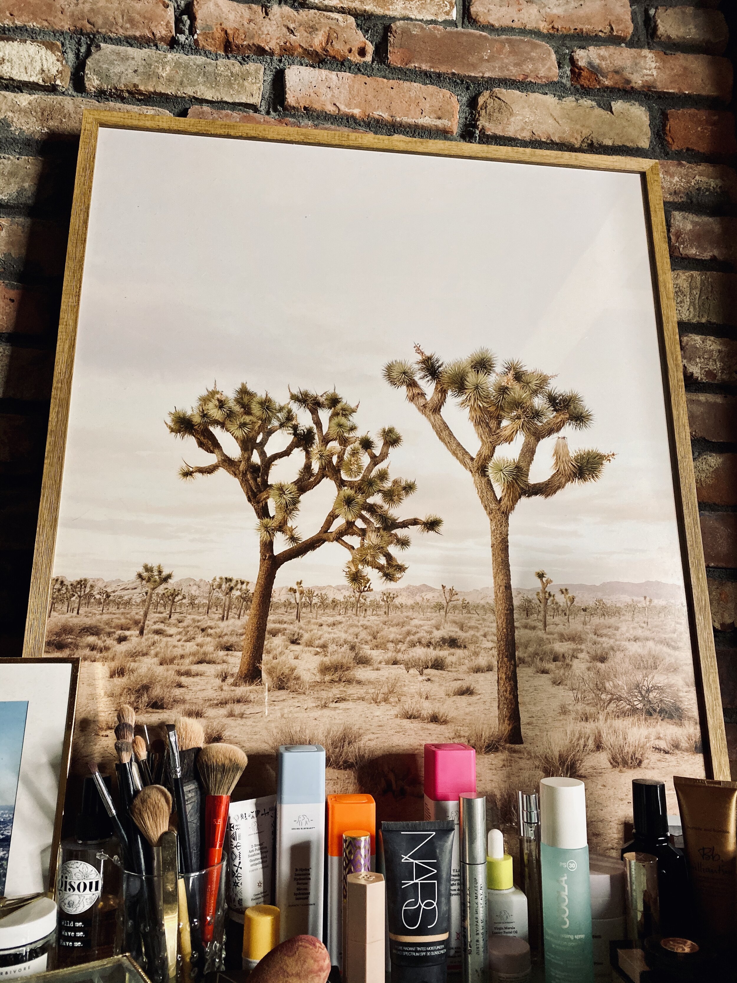 JoshuaTree1.jpg