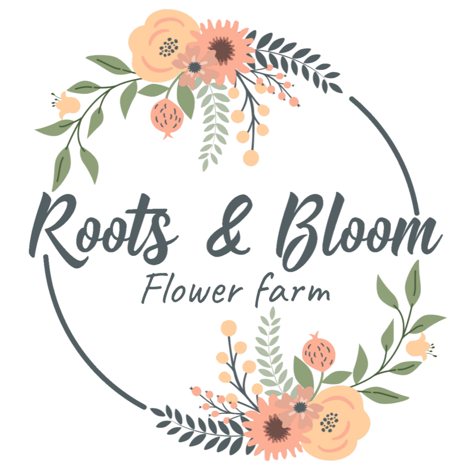 Roots &amp; Bloom Sheffield
