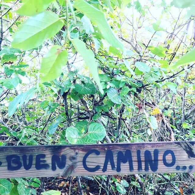 &ldquo;Don&rsquo;t live the same year 85 times and call it life.&rdquo;⁣⁣
-Robin Sharma⁣⁣
&bull;⁣⁣
&bull;⁣⁣
&bull;⁣⁣
⁣⁣
⁣⁣
#twolanediaries⁣⁣
⁣⁣
#buencamino #buencaminoperegrino #camino #caminos #keepwalkingpuertorico #puertorico #laisladelencanto #lo