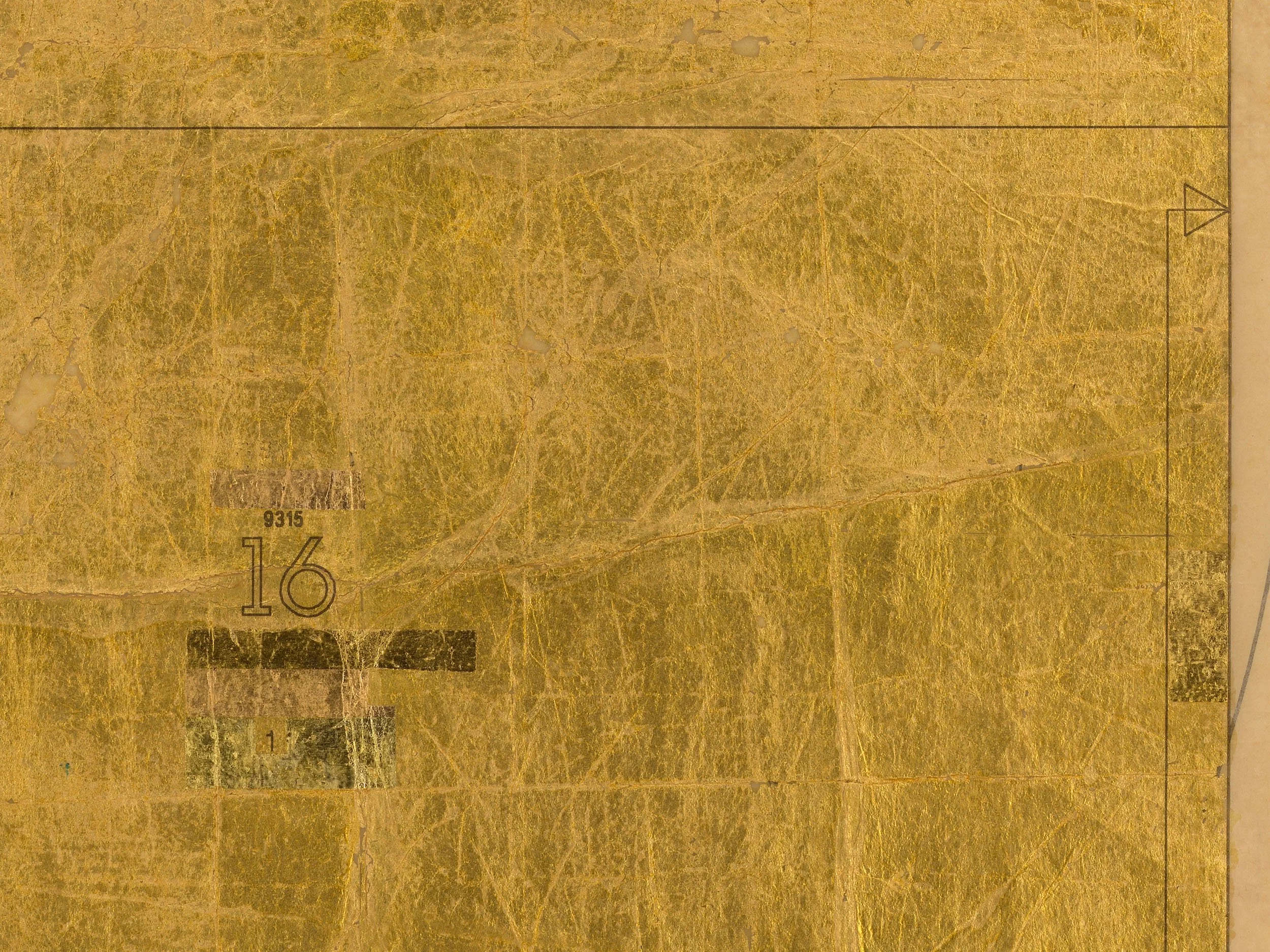 Detail view:  body and sol,  2022, gold leaf on pattern paper, 45.75 x 22.25 in (116.2 x 56.5 cm), 49.25 x 26.375 x 1.625 in framed (125.1 x 67 x 4.1 cm framed).