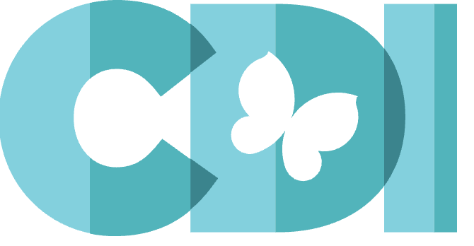 Child Development Institute (CDI) Partnership Strategy