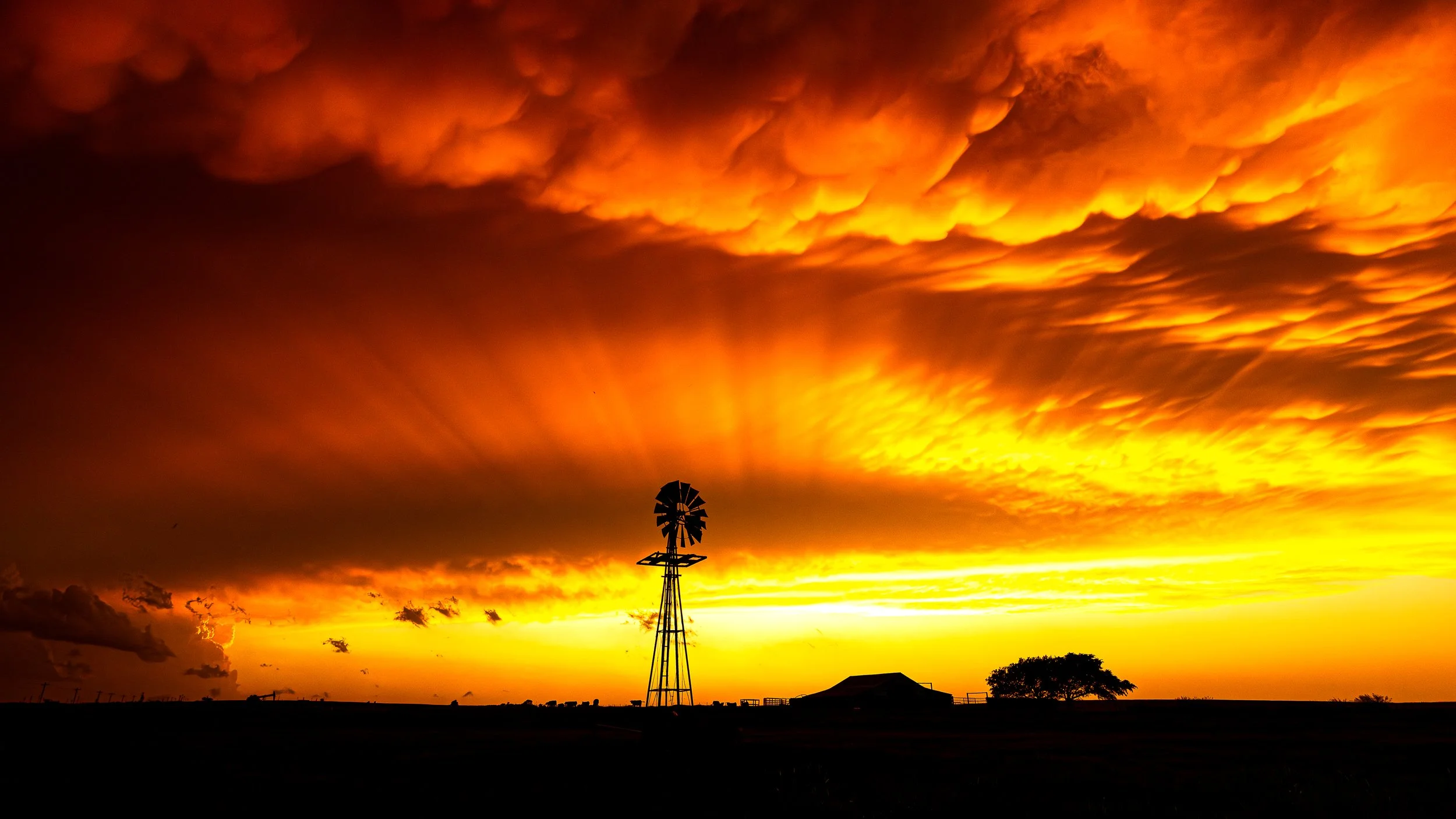 Mamatus windmill 16x9.jpg