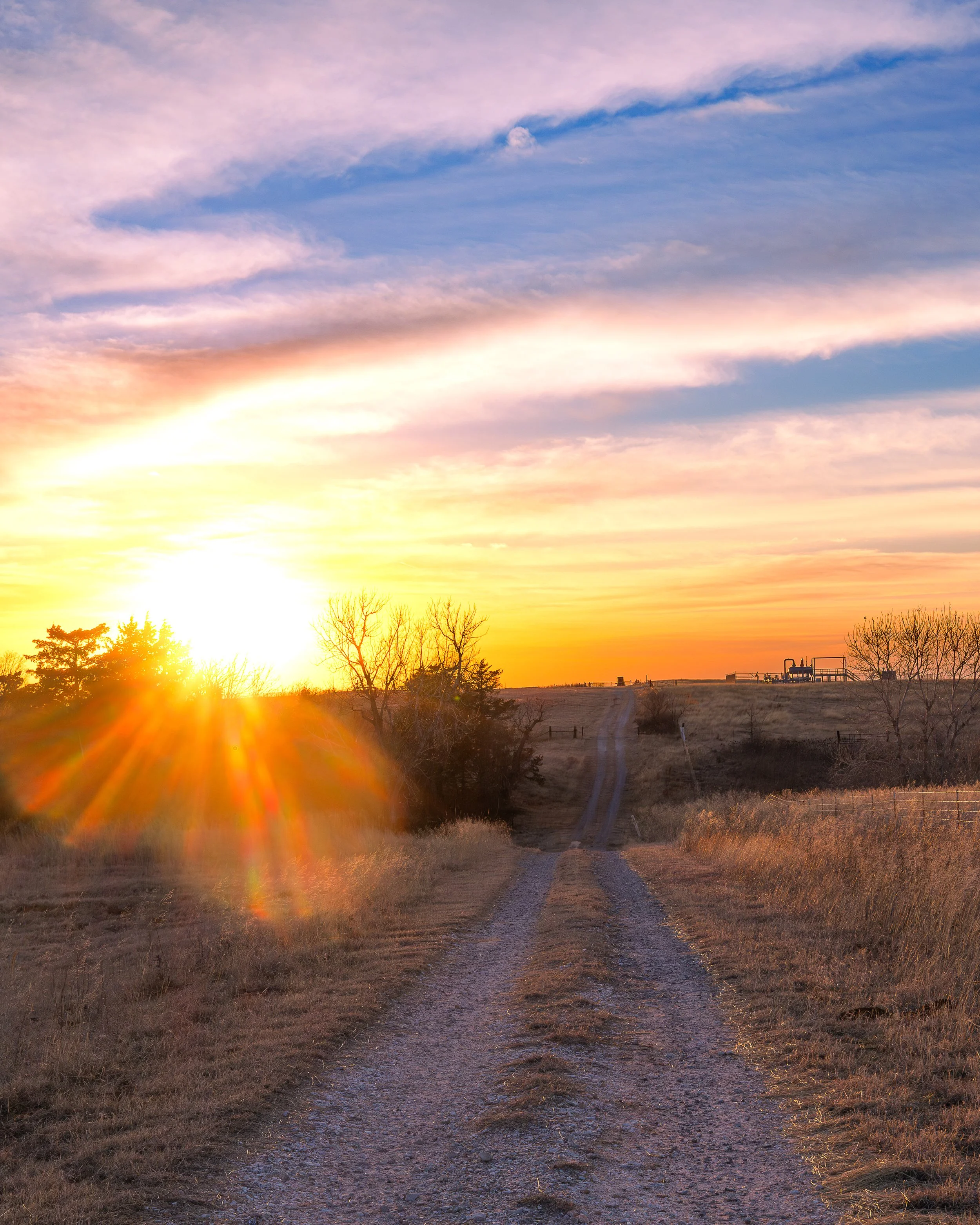 SKU 003 Grandma Funks 8x10 .jpg