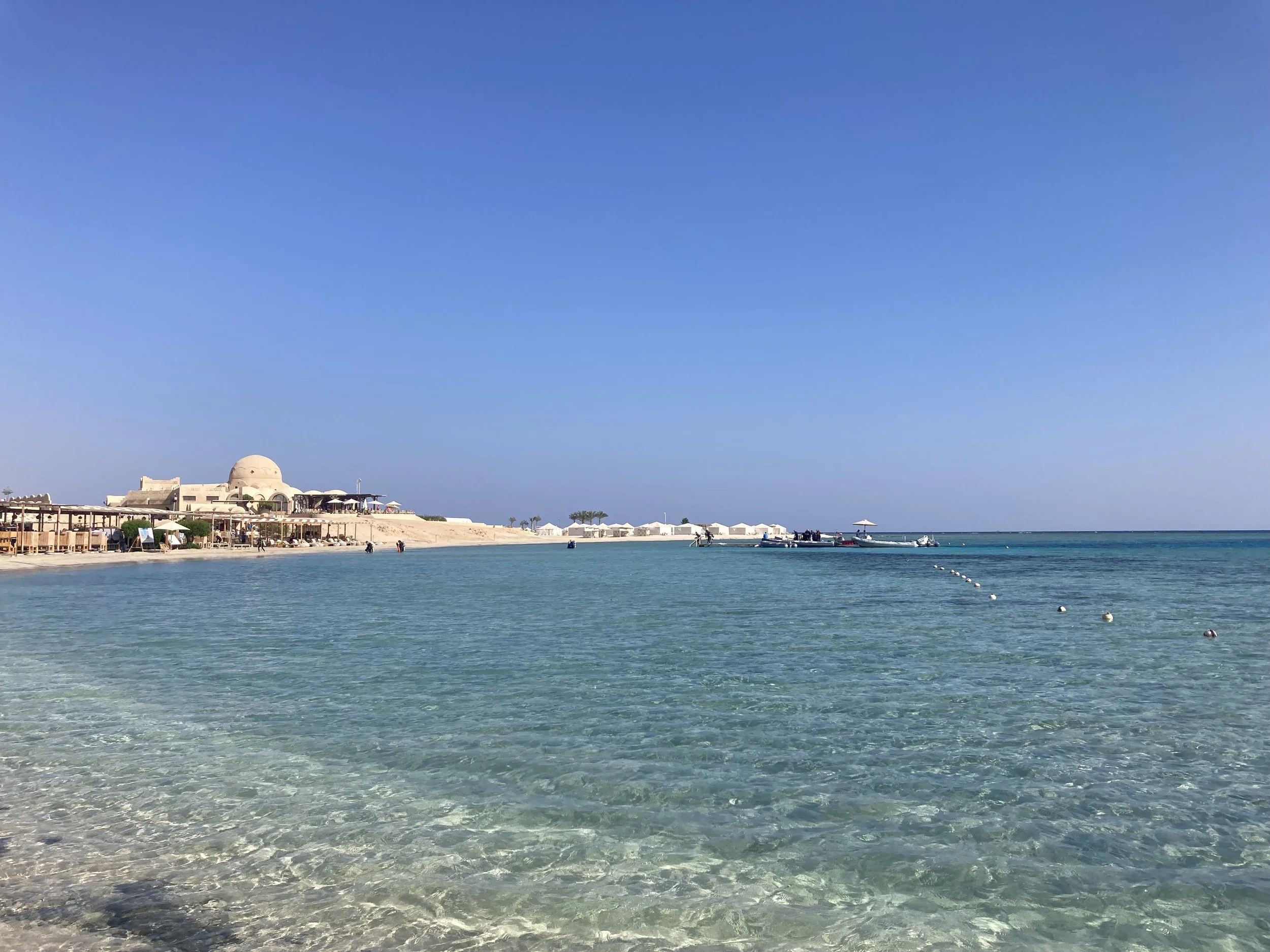 IMG_1762.jpeg