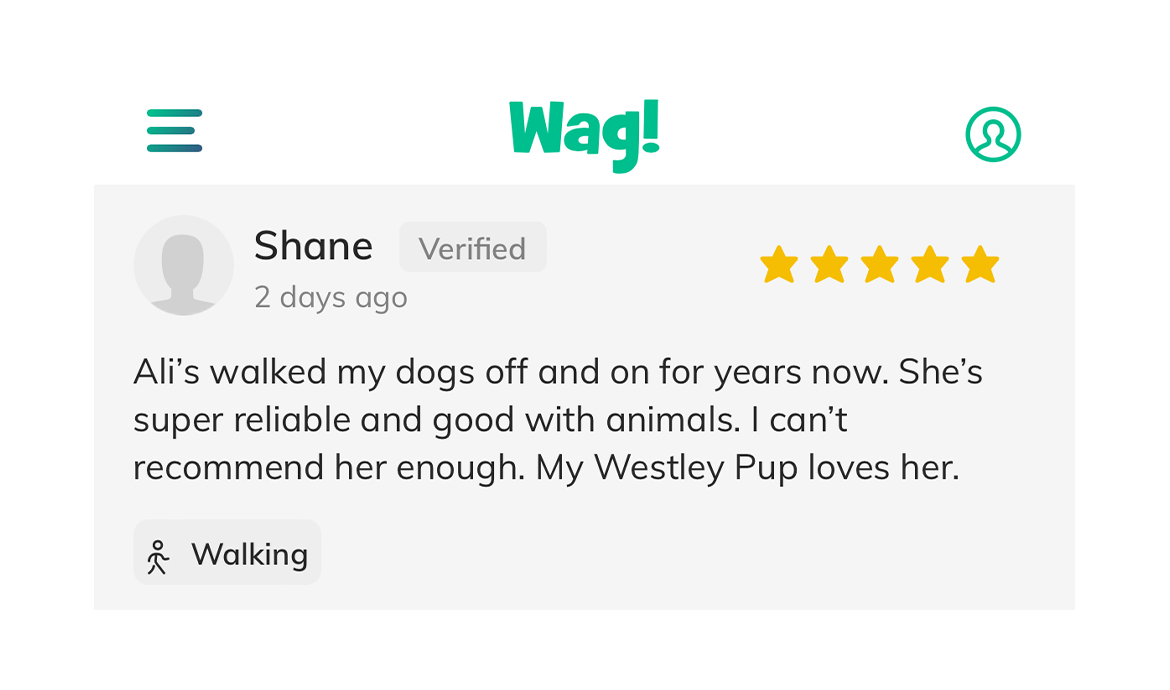 Pasadena Dog Walker Reviews - Shane