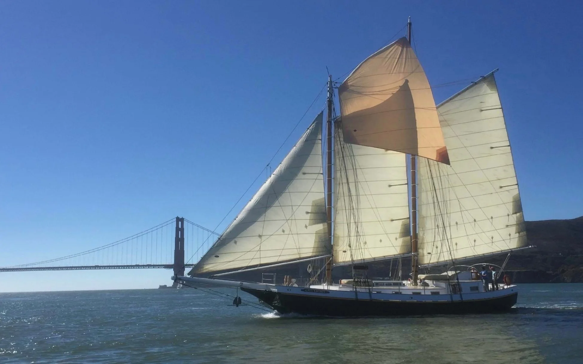 Bay Lights Charters