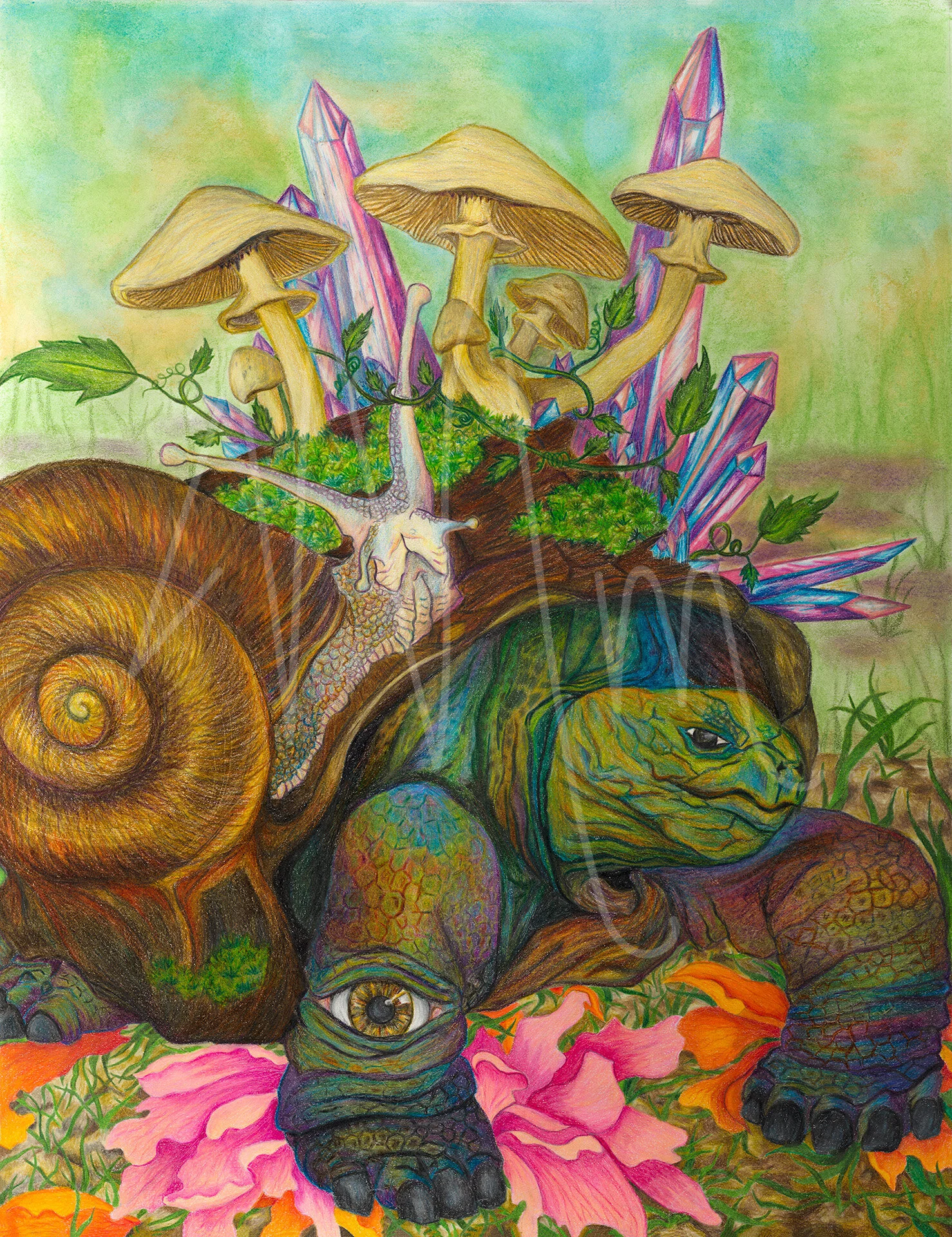 Mystical Tortoise Colored Pencil &amp; Faber-Castell Gelatos