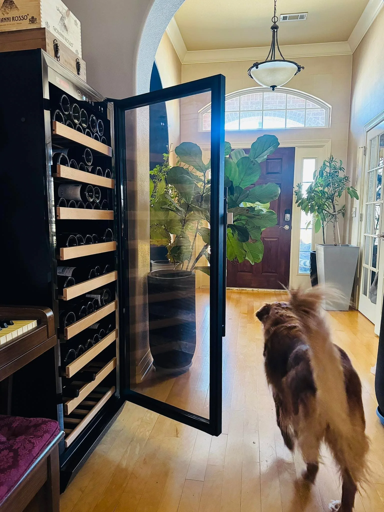 So, I *think* our Allavino&rsquo;s evaporator coil(?) has failed. Anyone know how to replace or know someone who has experience working on freestanding wine fridges?