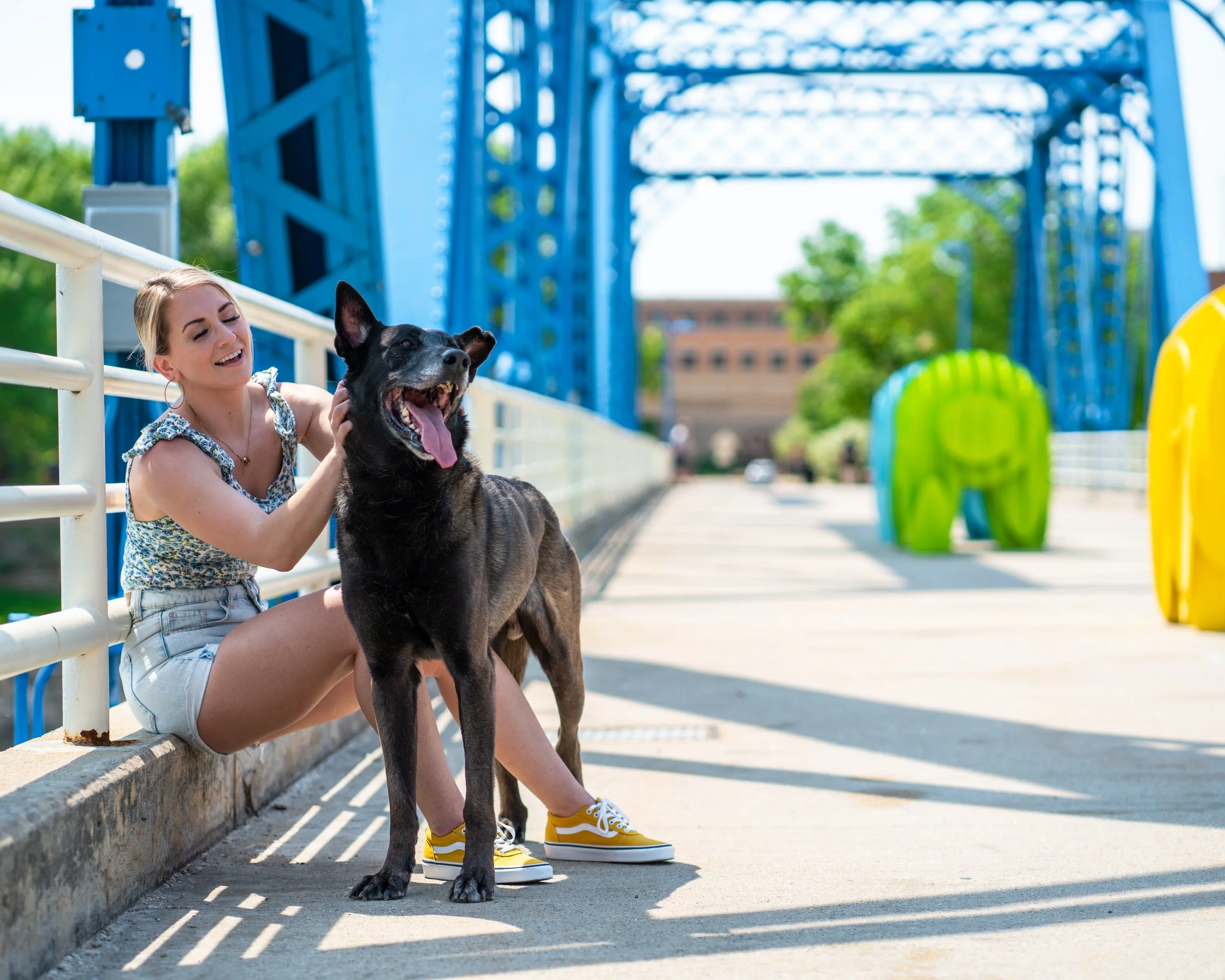 Store — GRAND RAPIDS K9