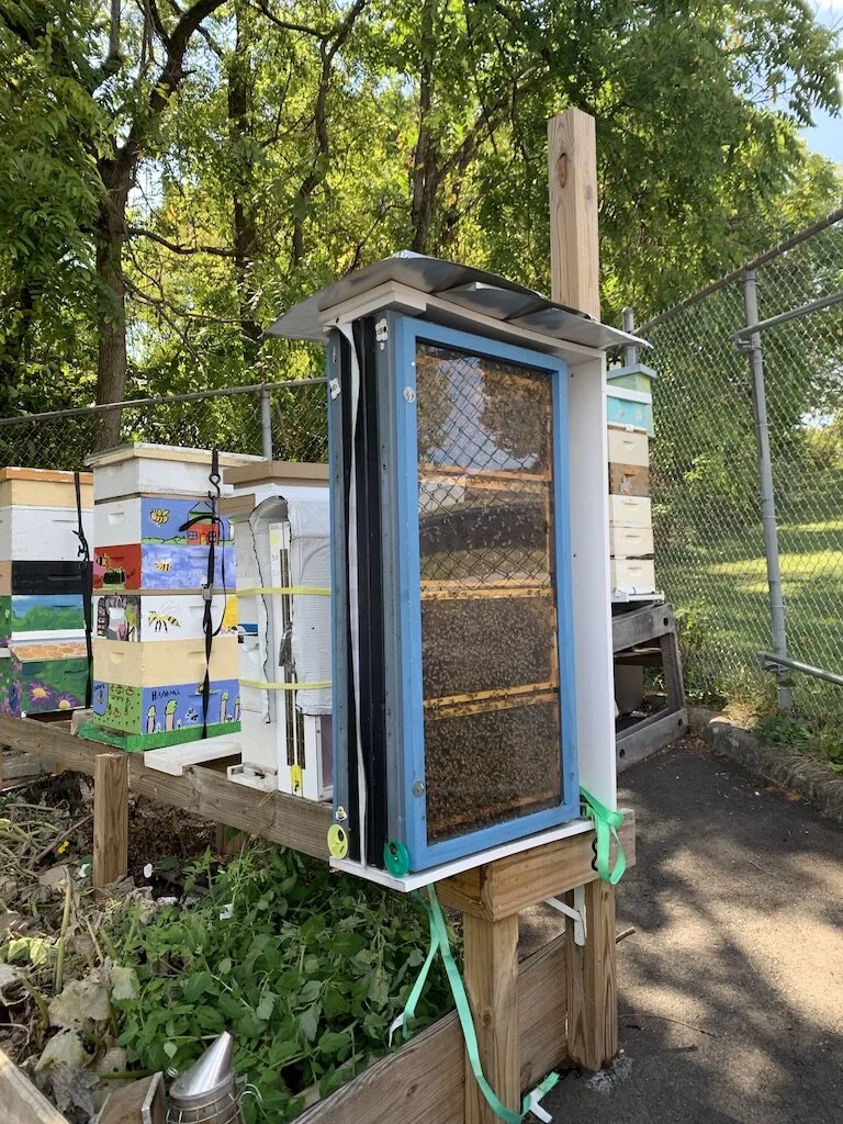 Gallery 1 — Blue Ridge Conservation