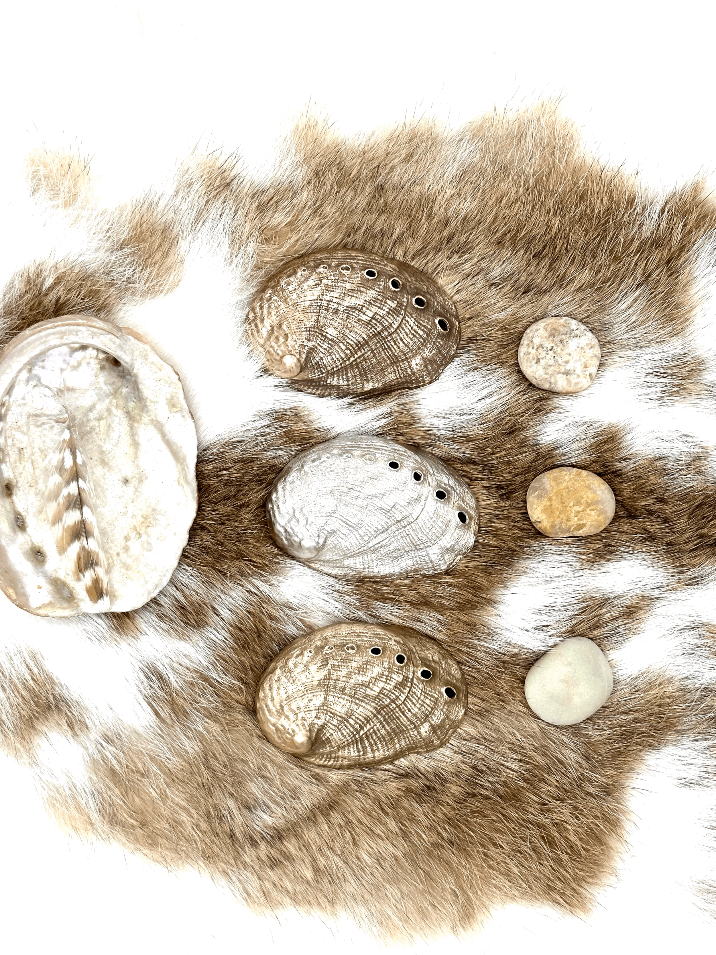 Abalone Dish Trifecta