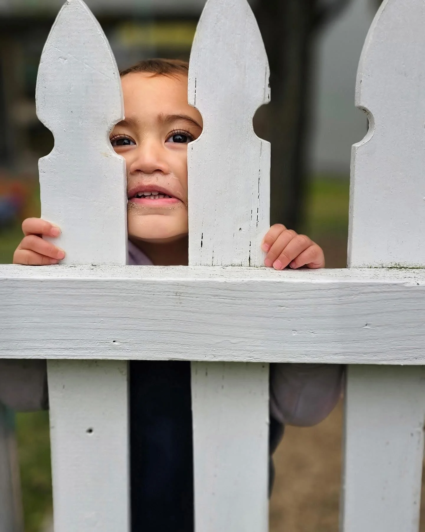 A young child peeking through a white picket fence, holding onto the top with both hands.
