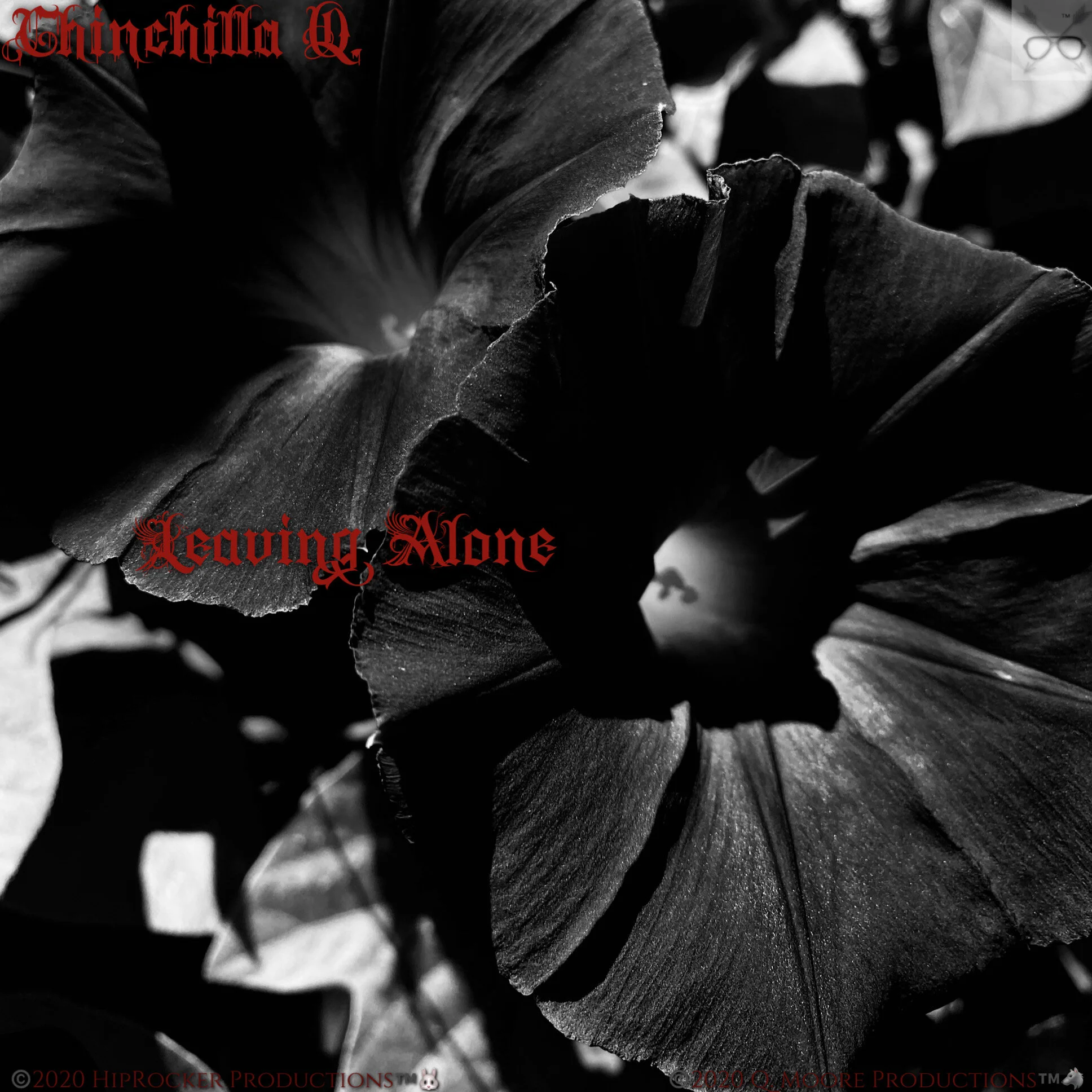 "Leaving Alone"
🖤Released On May 13th, 2020🖤