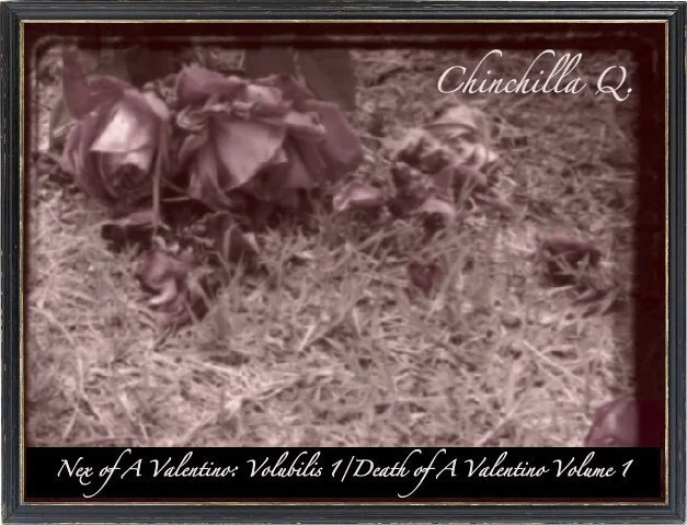 "Death of A Valentino: Volume 1:"
🖤Released On February 14th, 2011🖤