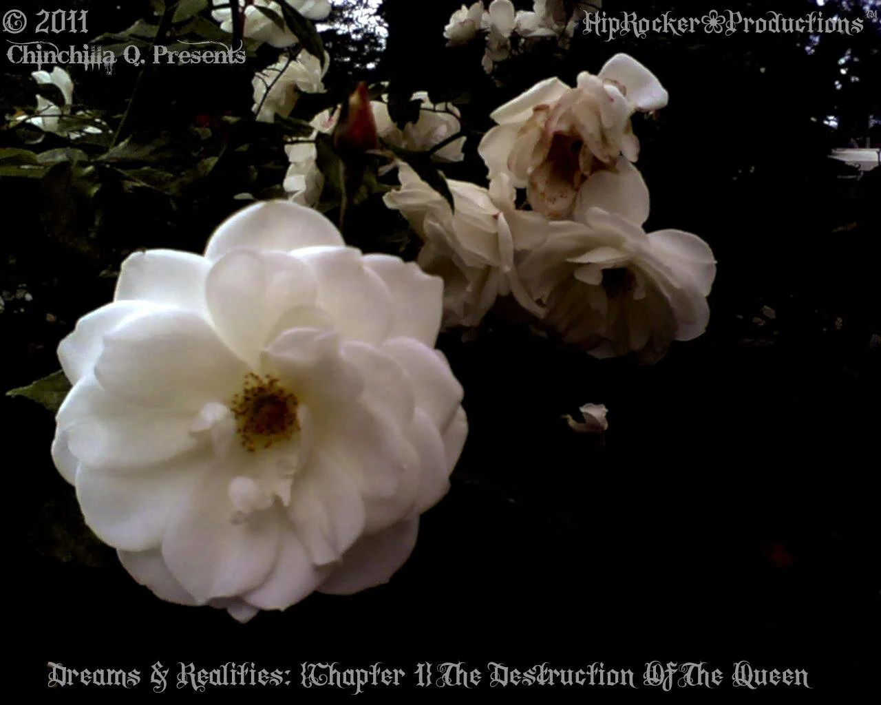 "Dreams & Realities, Chapter 1:"
🖤Released On: November 11, 2011🖤