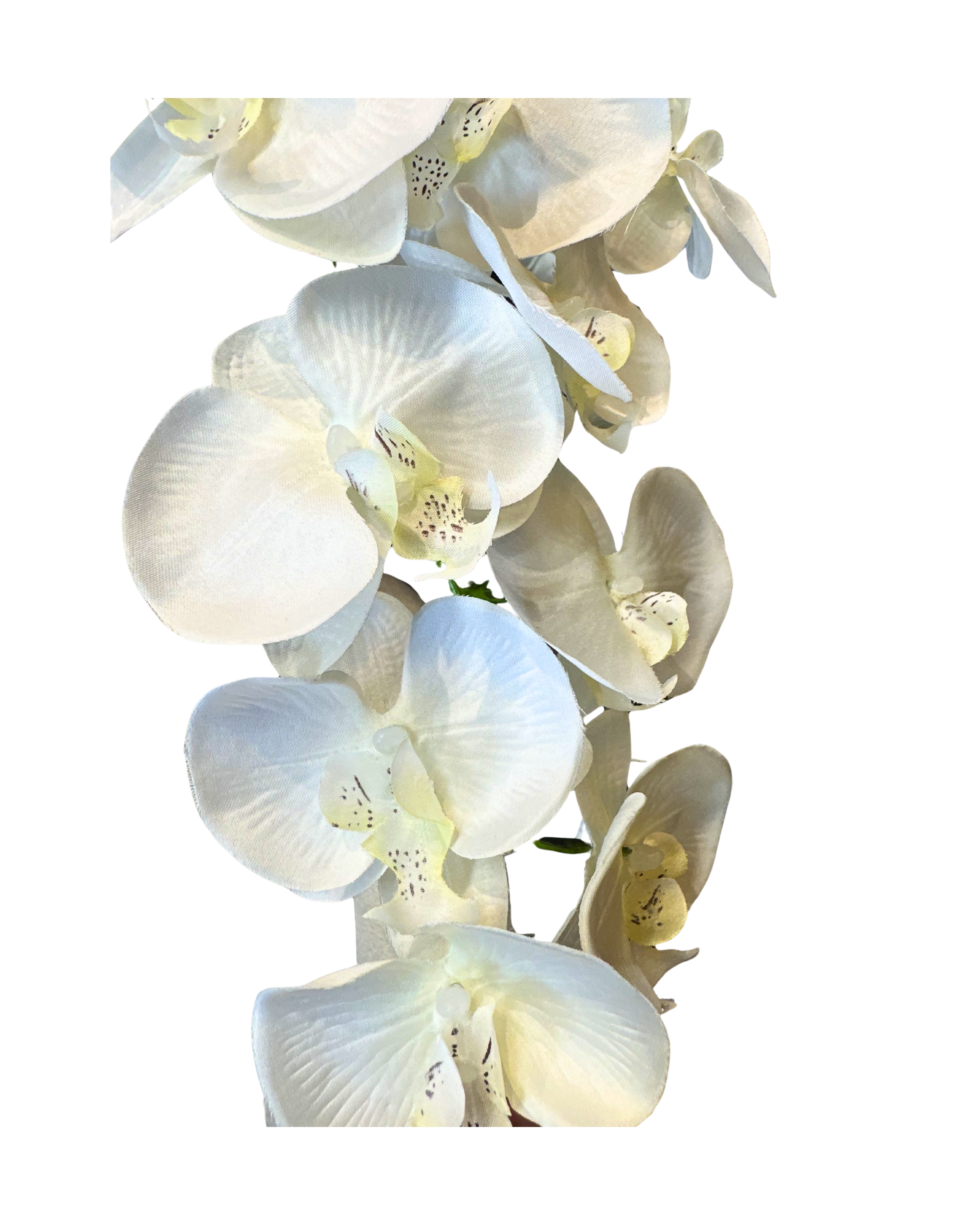 White Potted Faux Orchid - Medium (3).png