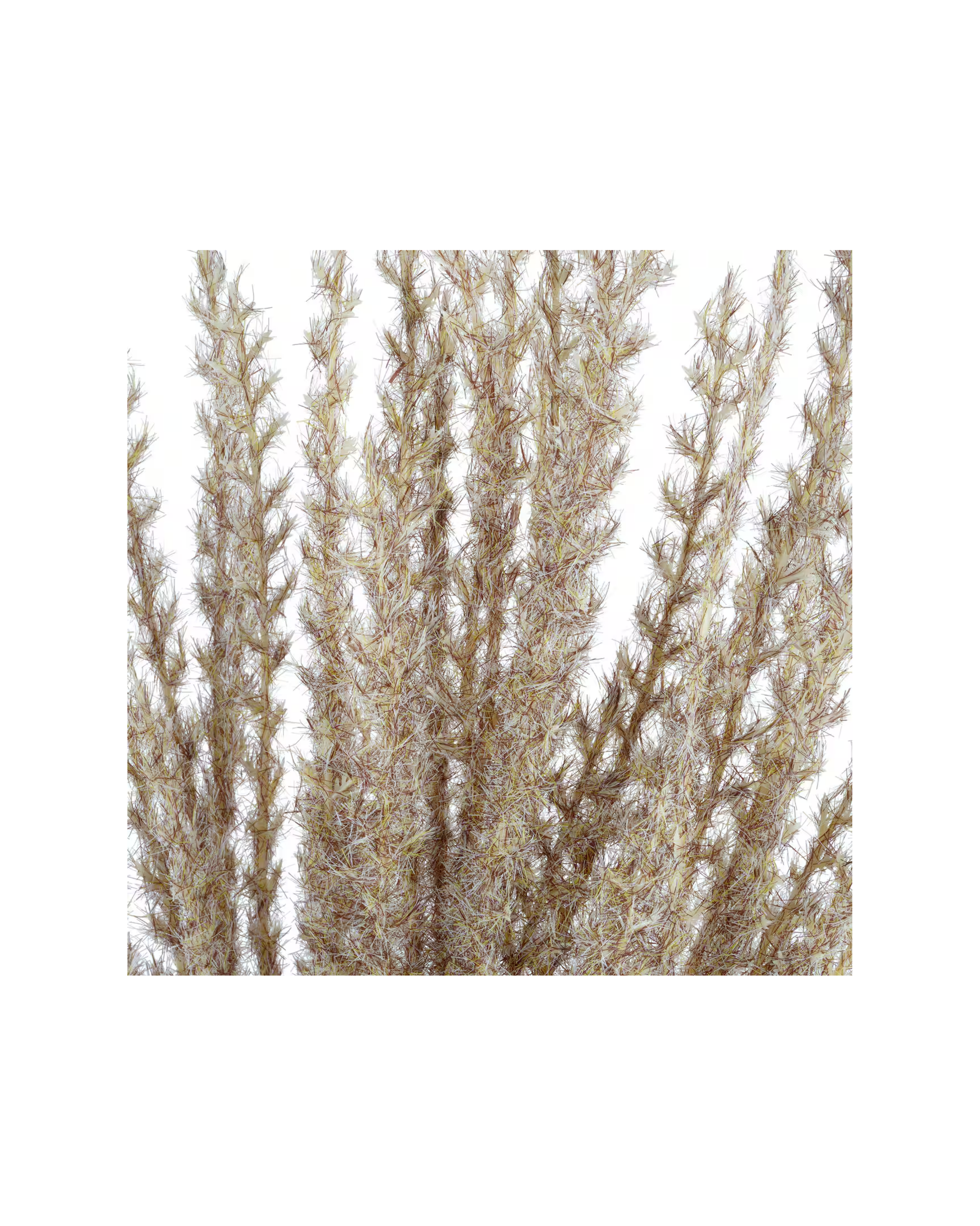 Tan Faux Pampas Grass – Short Firm Stem (4).png