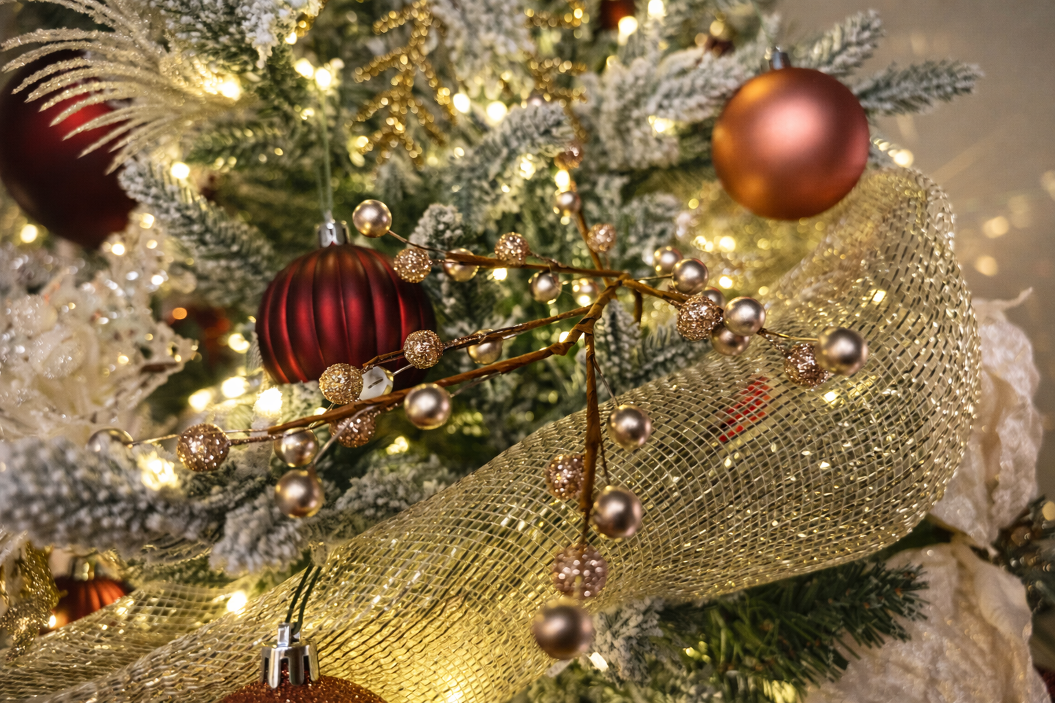 Photo Dec 26 2025, 6 14 16 PM (1).png